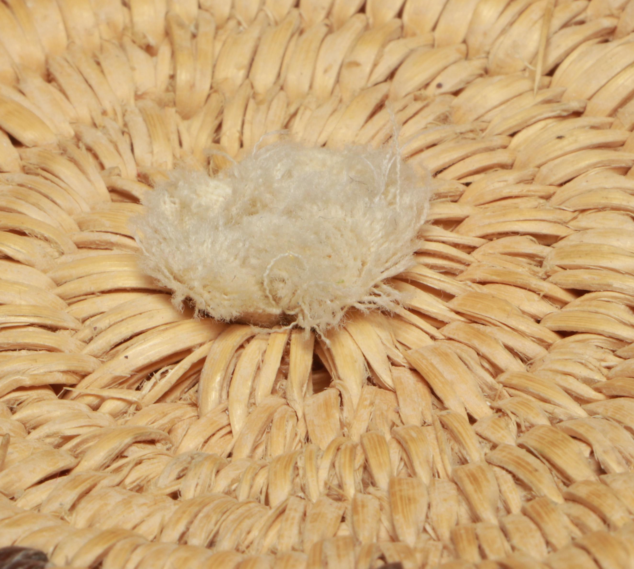 Diné (Navajo) Handwoven Wedding Basket