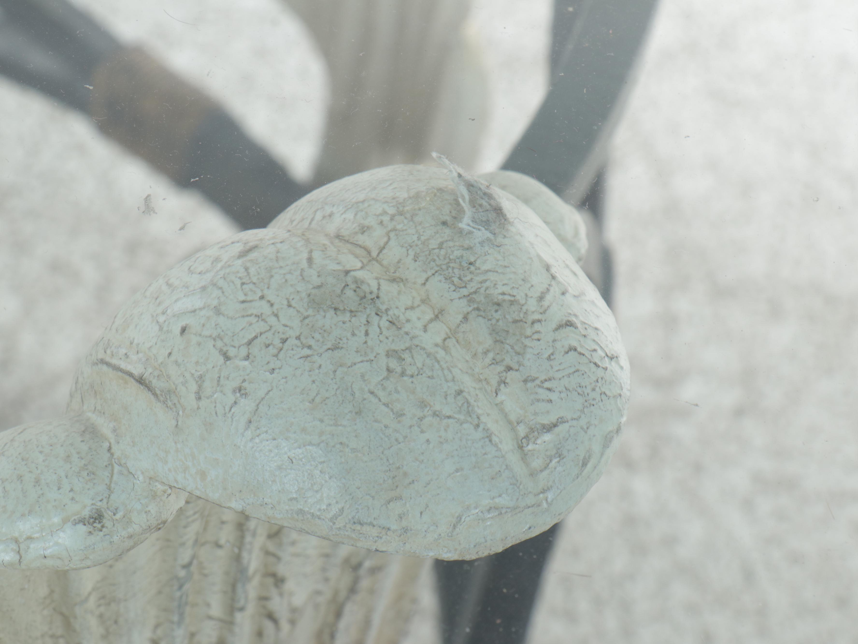 Glass Top Dining Table