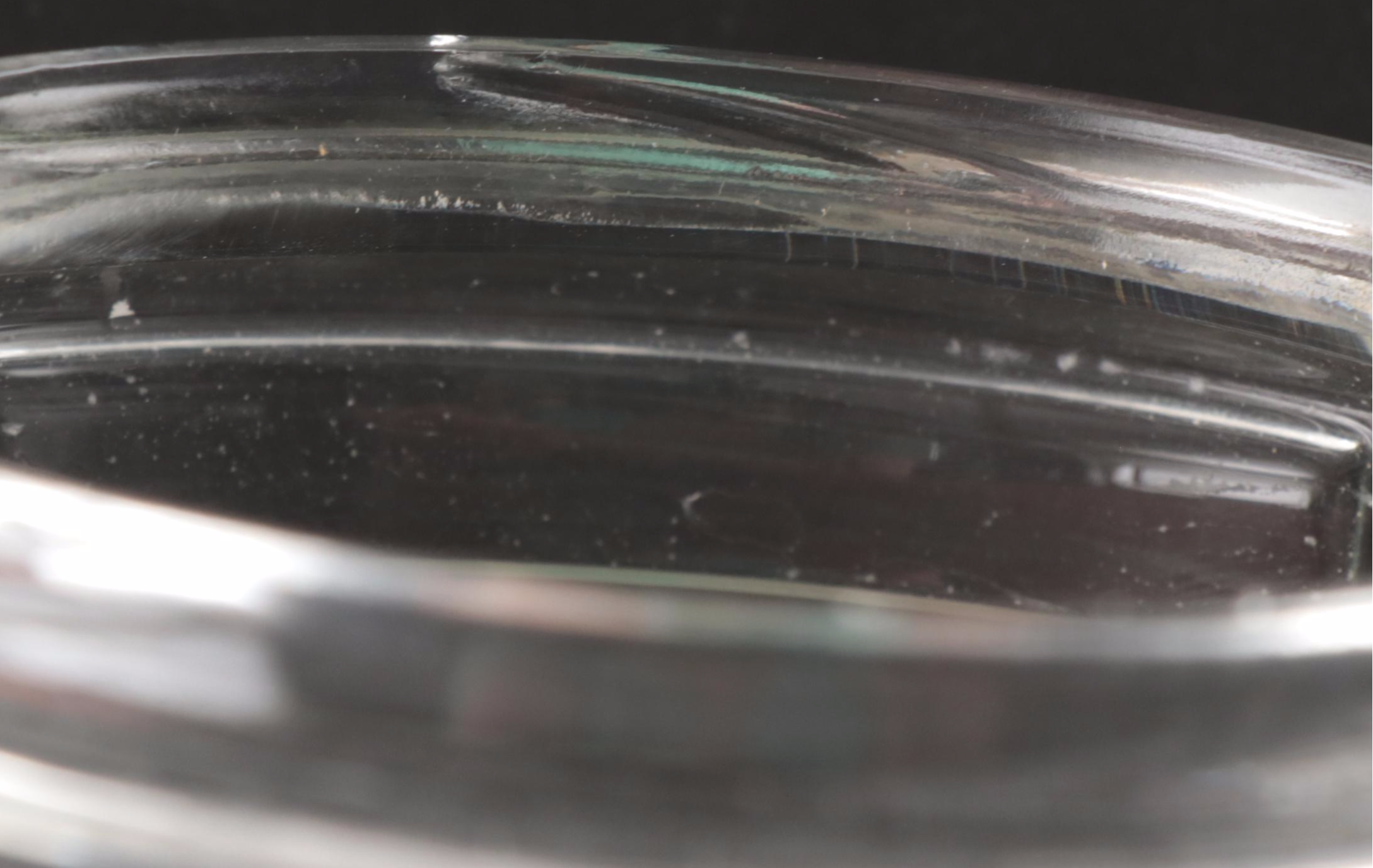 Godinger Silver Plate Insect Vessel with Glass Bird Cruet and Lidded Dish