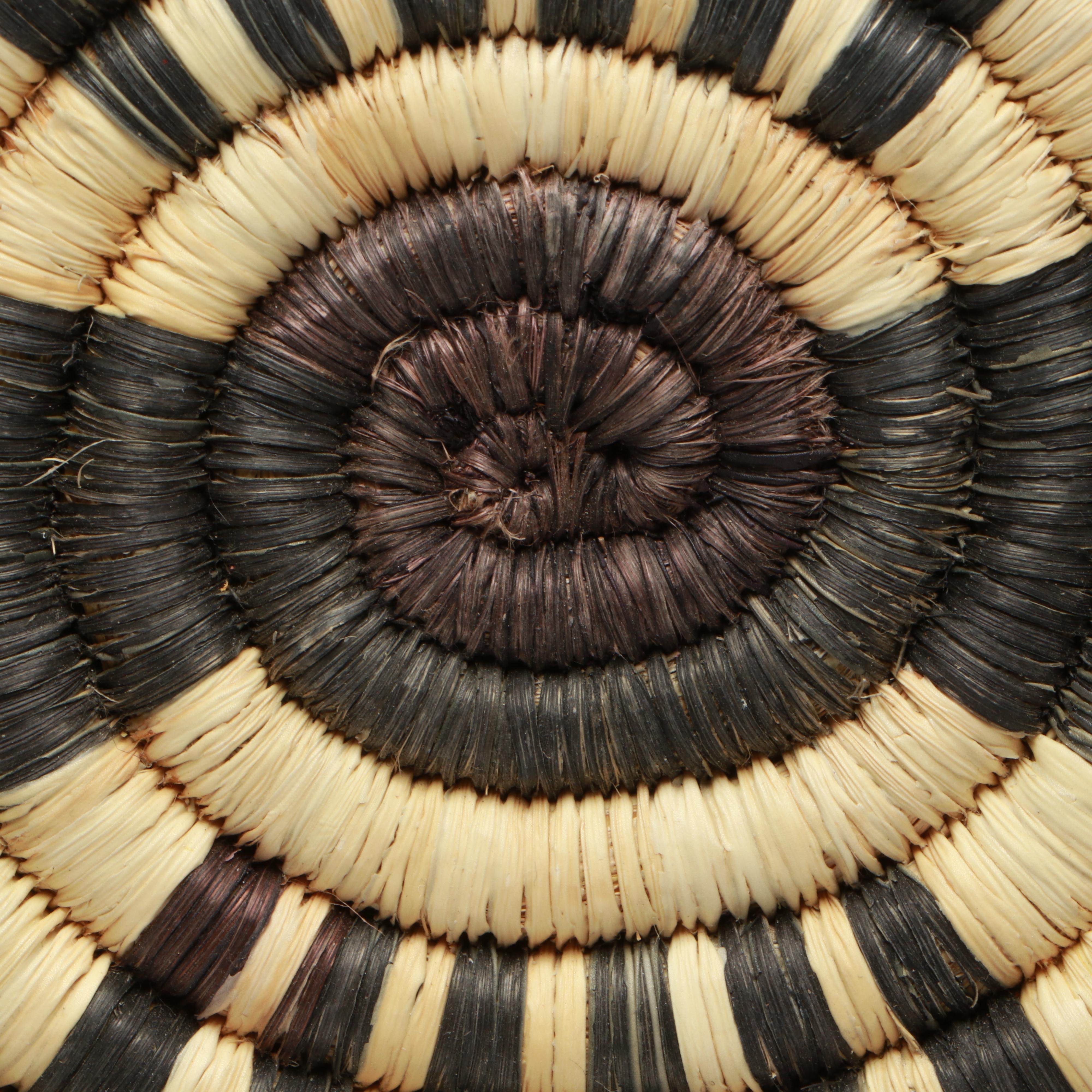 Hopi Yucca and Galleta Grass Coiled Plaque