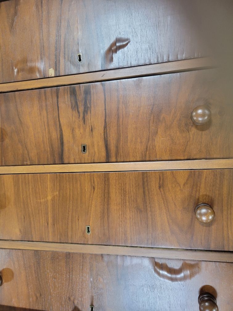 Victorian Empire Style Burl Veneer Chest of Drawers, Late 19th Century