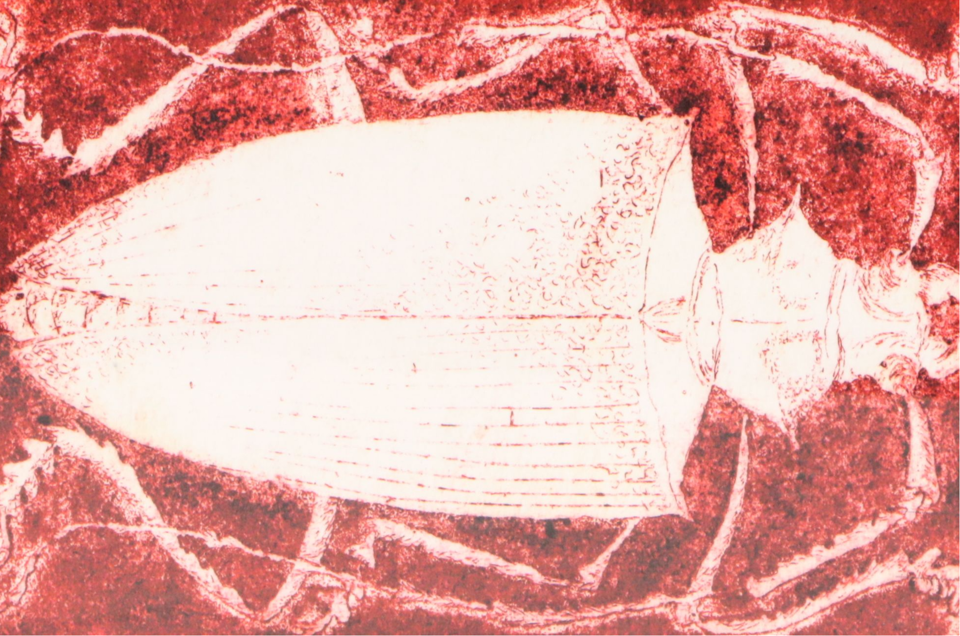 After Tenno Pent Sooster Offset Lithograph "White Beetle on Red," 21st Century