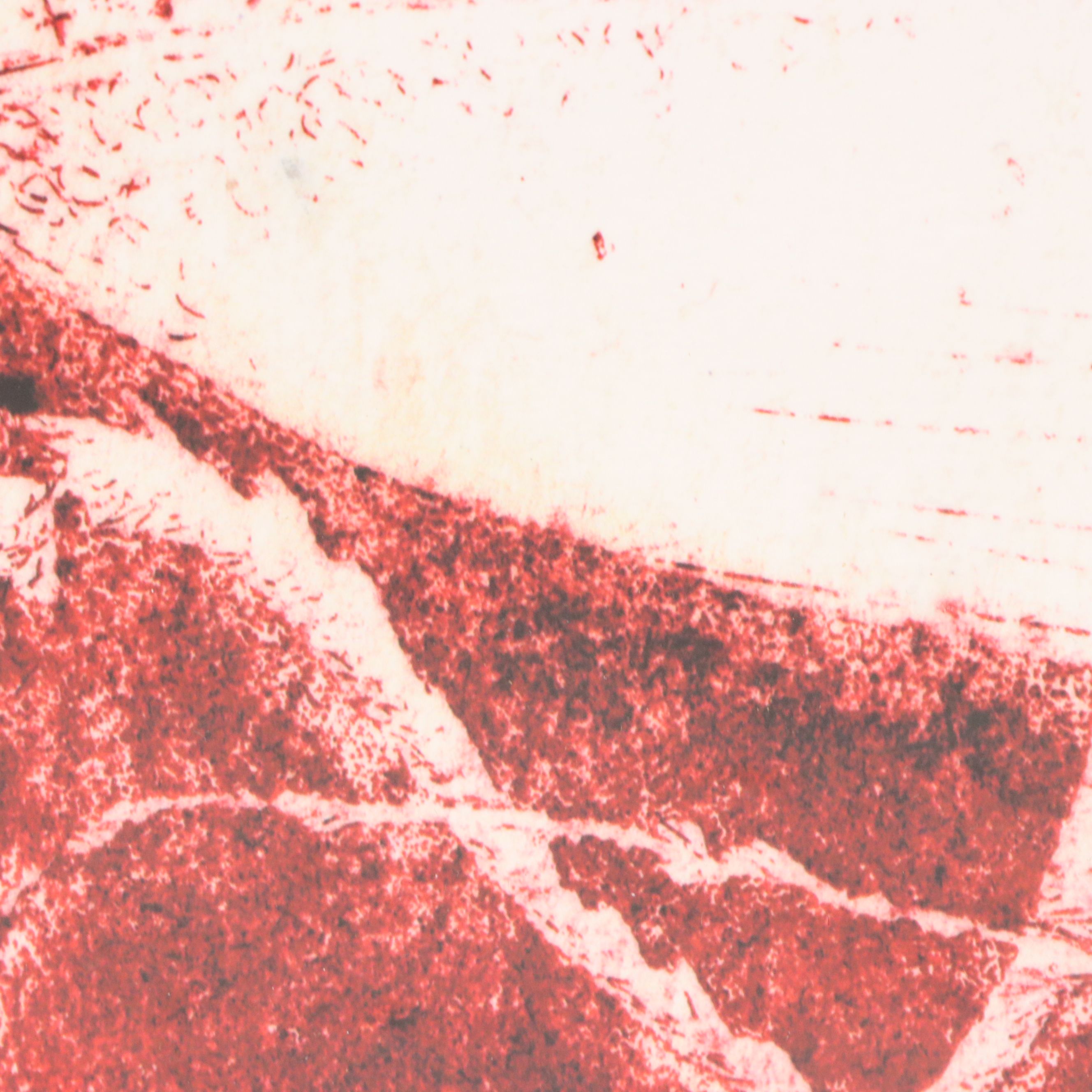 After Tenno Pent Sooster Offset Lithograph "White Beetle on Red," 21st Century