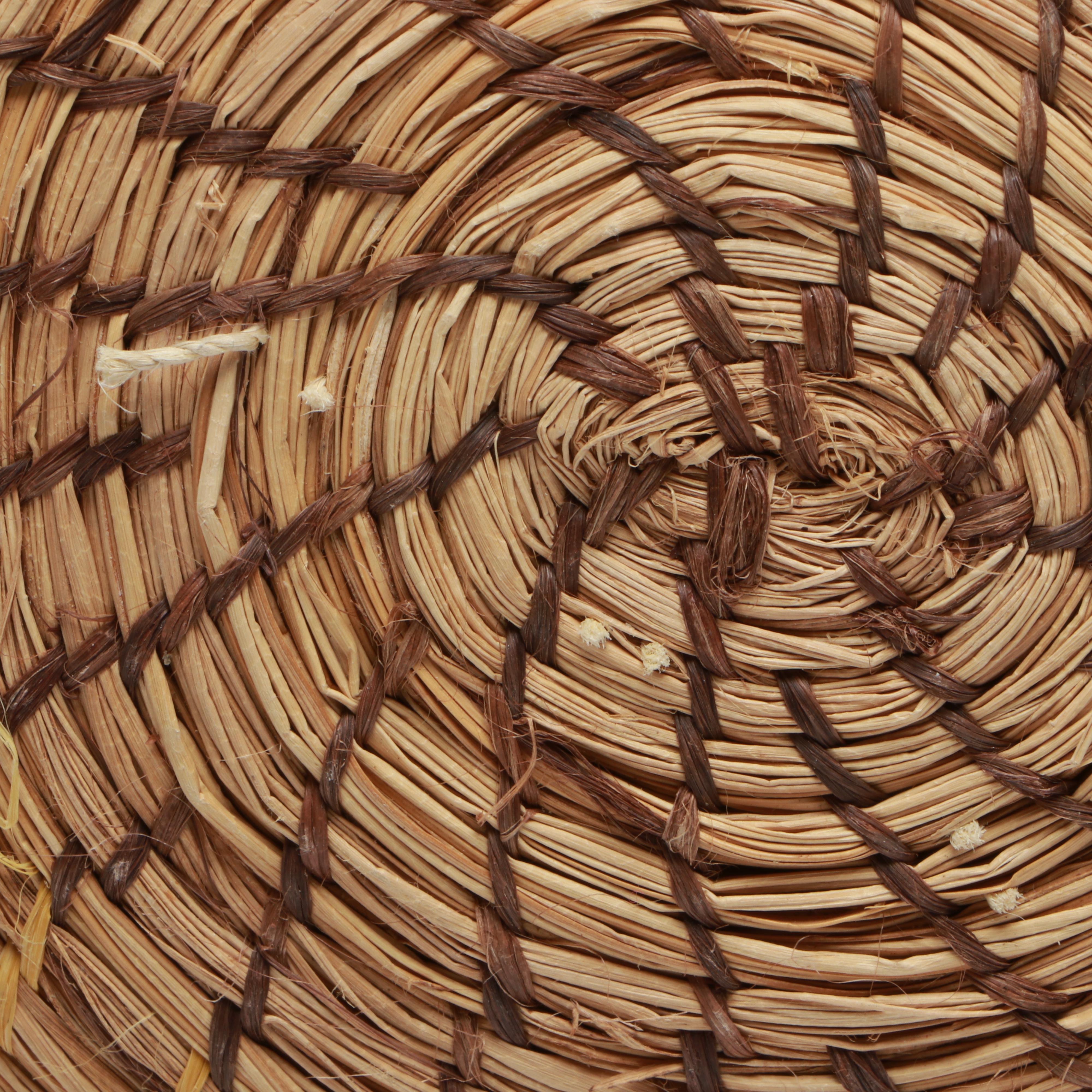 Amazon Rainforest Yagua and Warao Peoples Handwoven Chambrae Vine Baskets