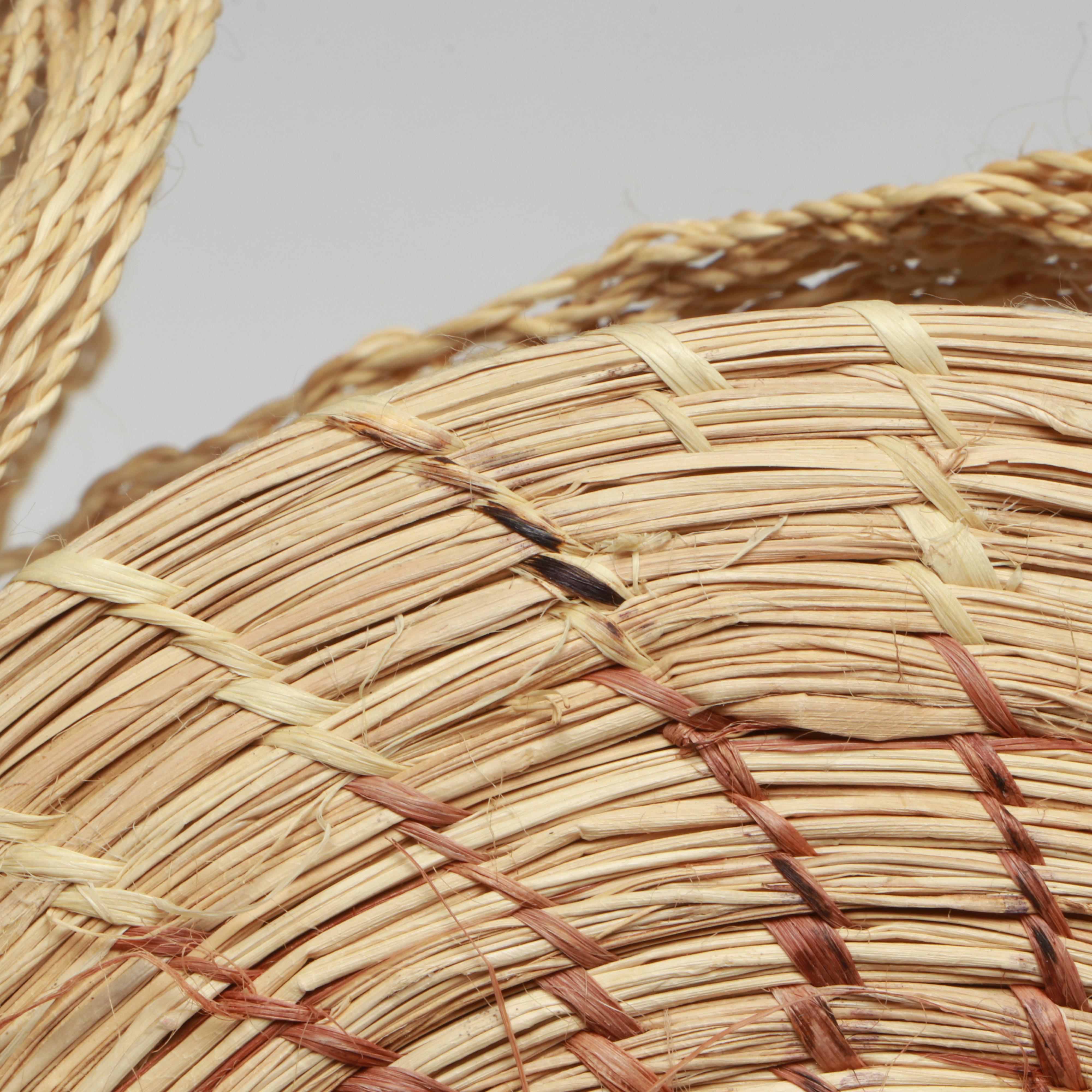 Amazon Rainforest Yagua and Warao Peoples Handwoven Chambrae Vine Baskets