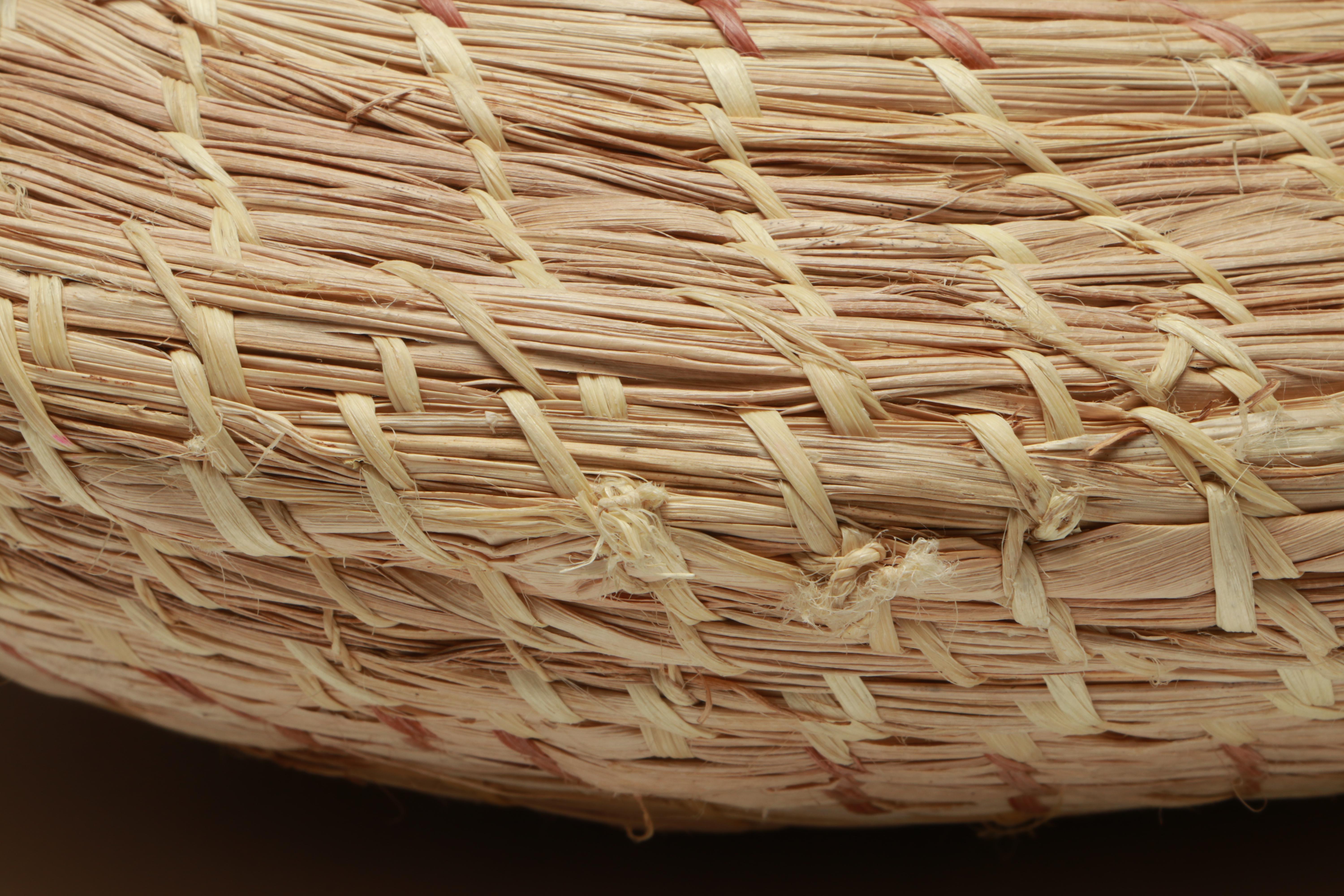 Amazon Rainforest Yagua and Warao Peoples Handwoven Chambrae Vine Baskets