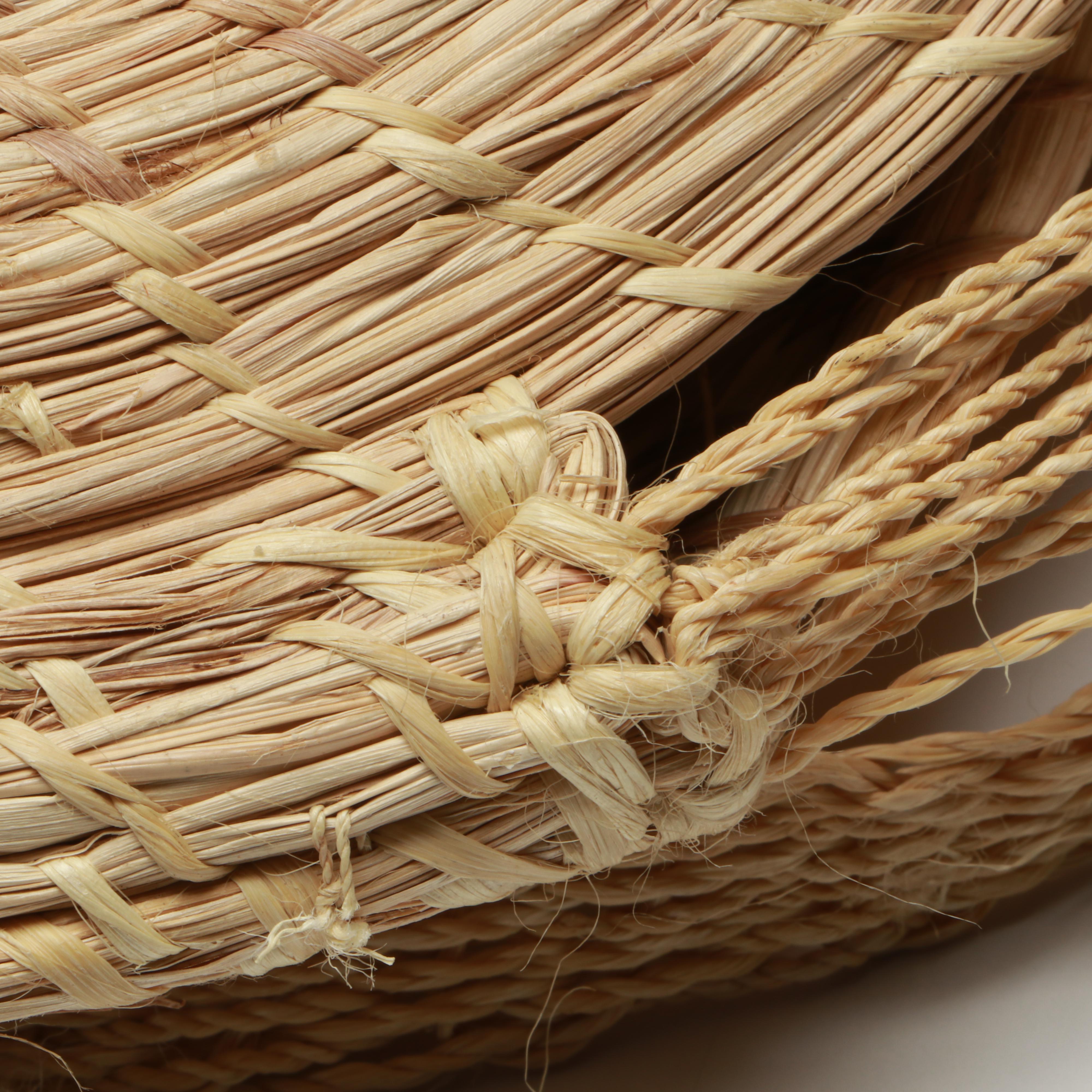 Amazon Rainforest Yagua and Warao Peoples Handwoven Chambrae Vine Baskets