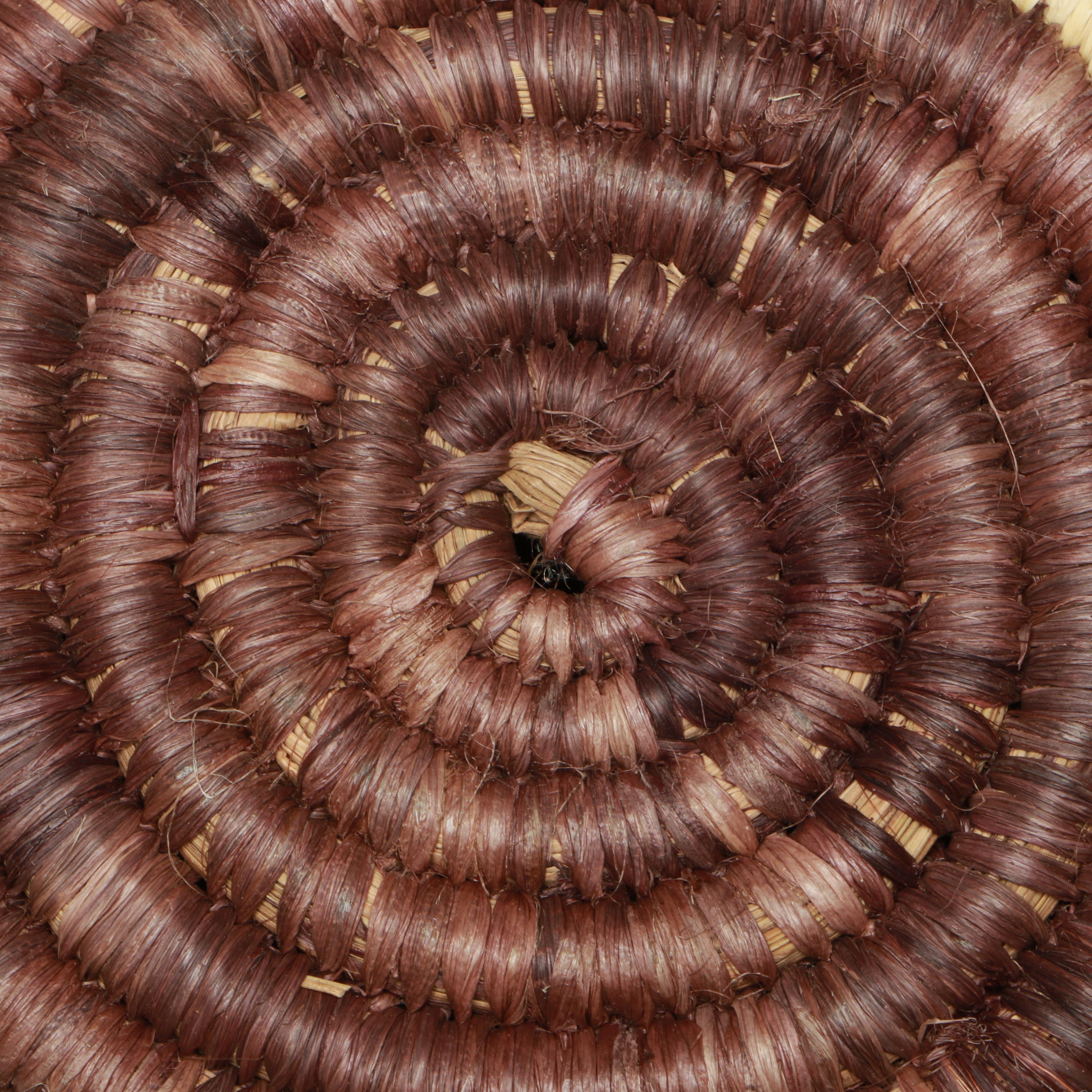 Amazon Rainforest Yagua and Warao Peoples Handwoven Chambrae Vine Baskets