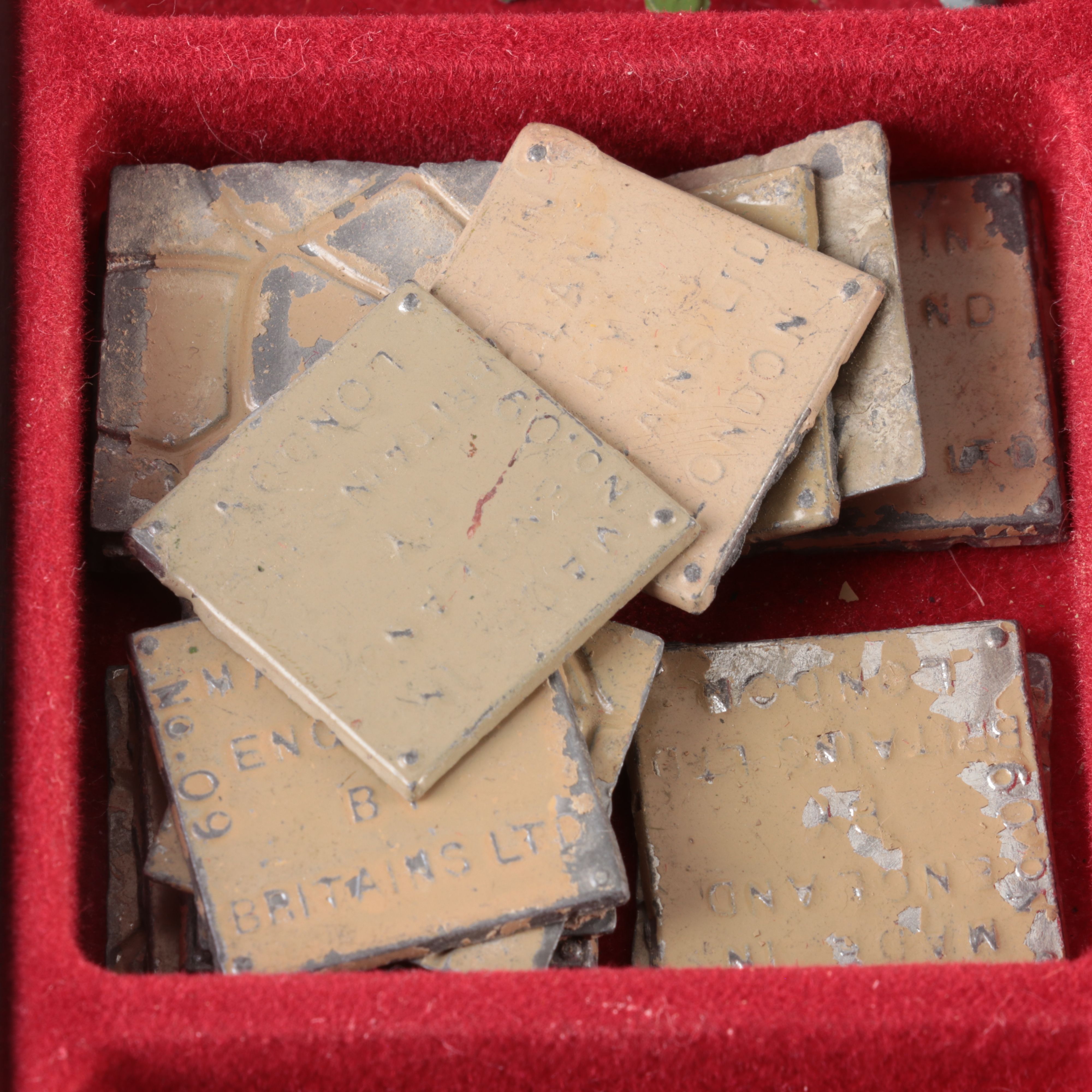 Collection of Flowers for the Britain's Garden Series