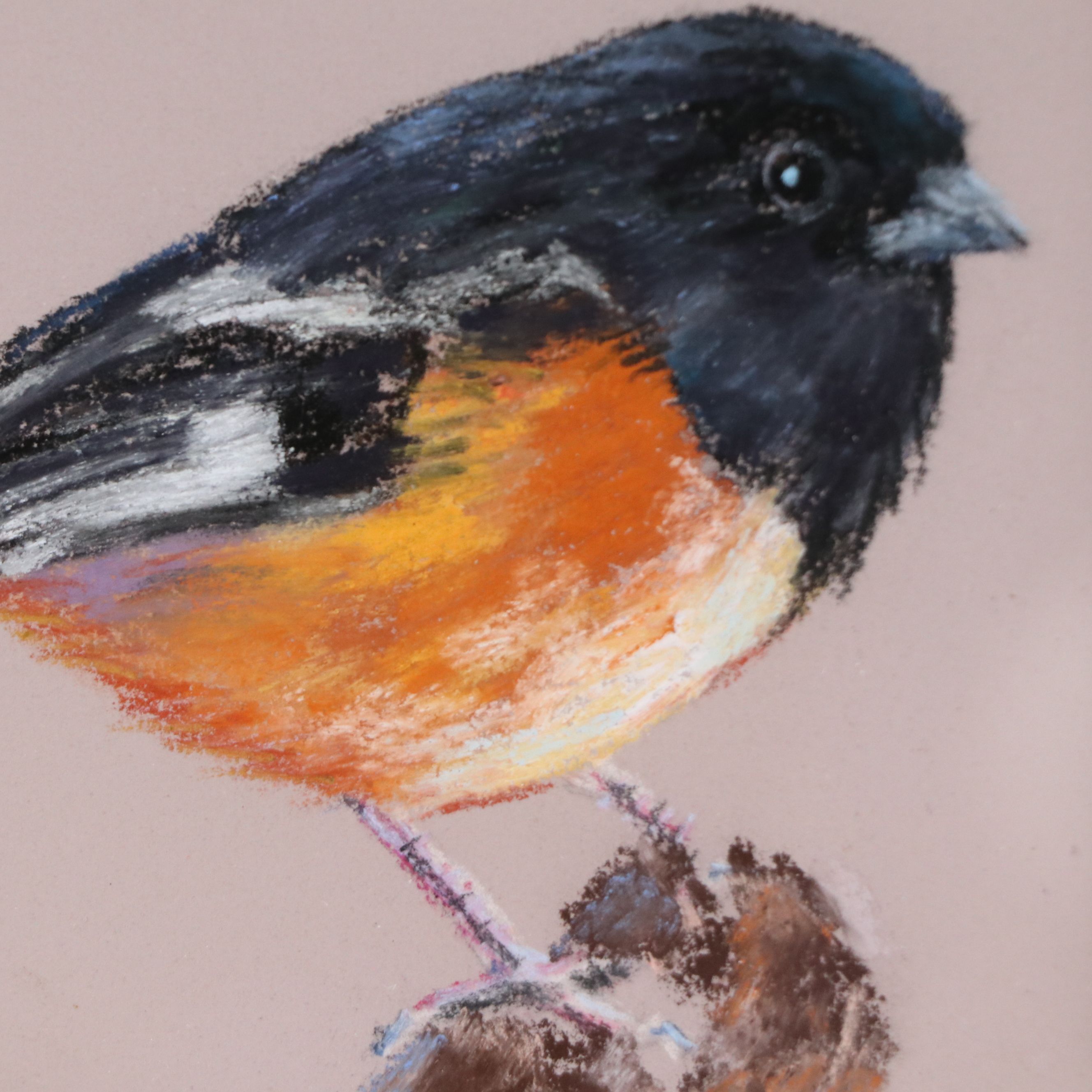 Sunkyung Choi Chalk Pastel Drawing of Bird, 21st Century