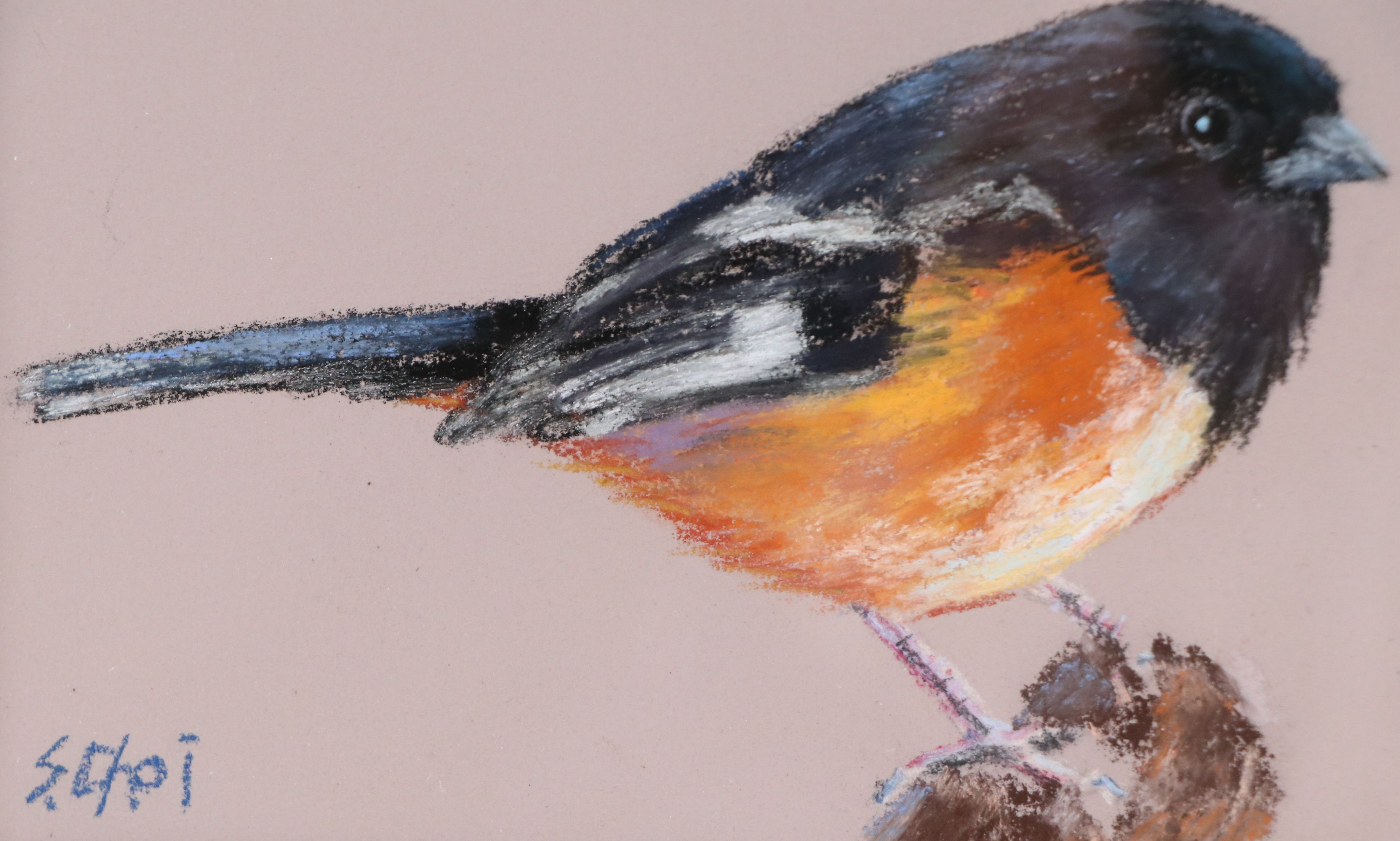 Sunkyung Choi Chalk Pastel Drawing of Bird, 21st Century