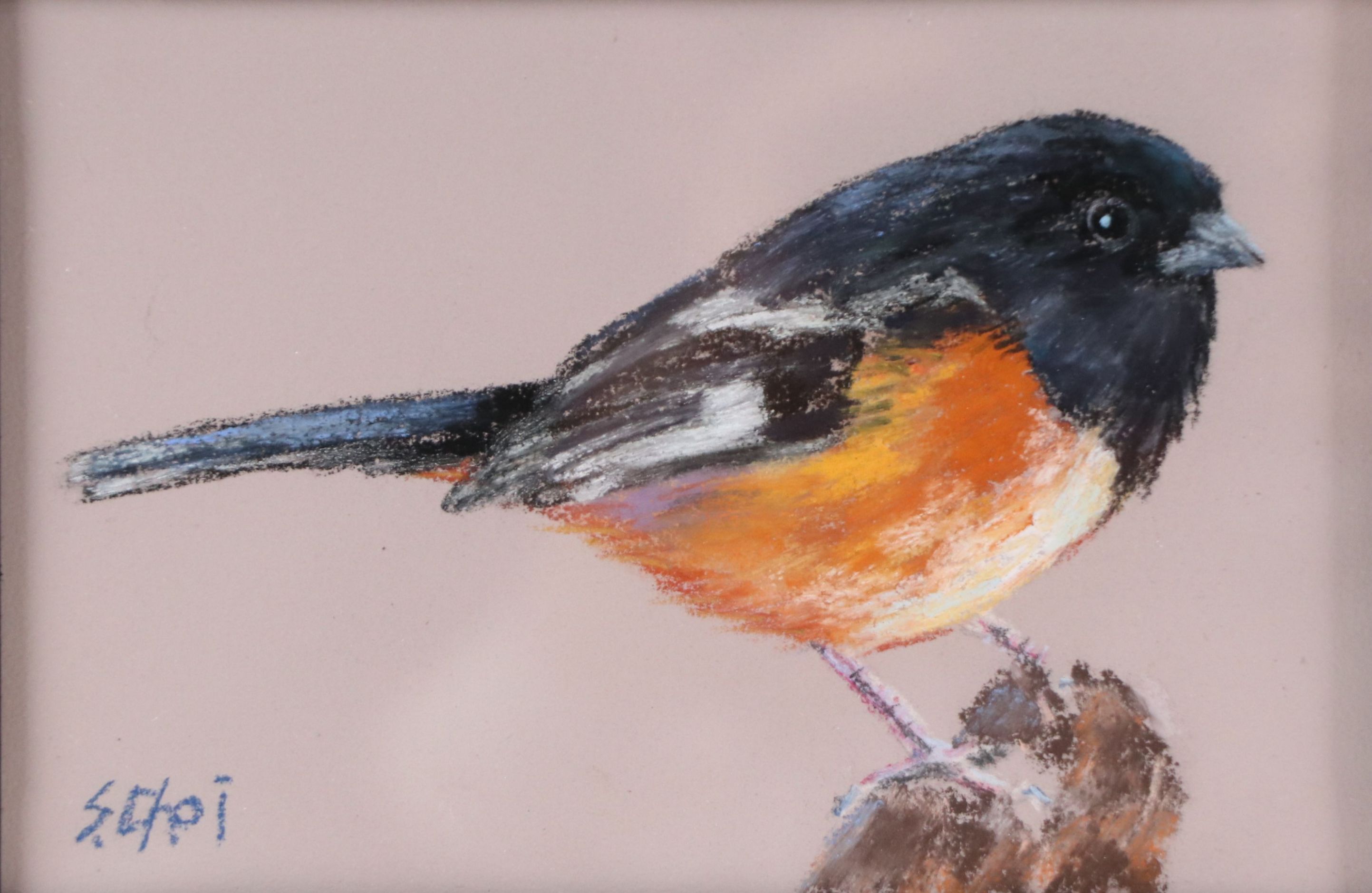 Sunkyung Choi Chalk Pastel Drawing of Bird, 21st Century