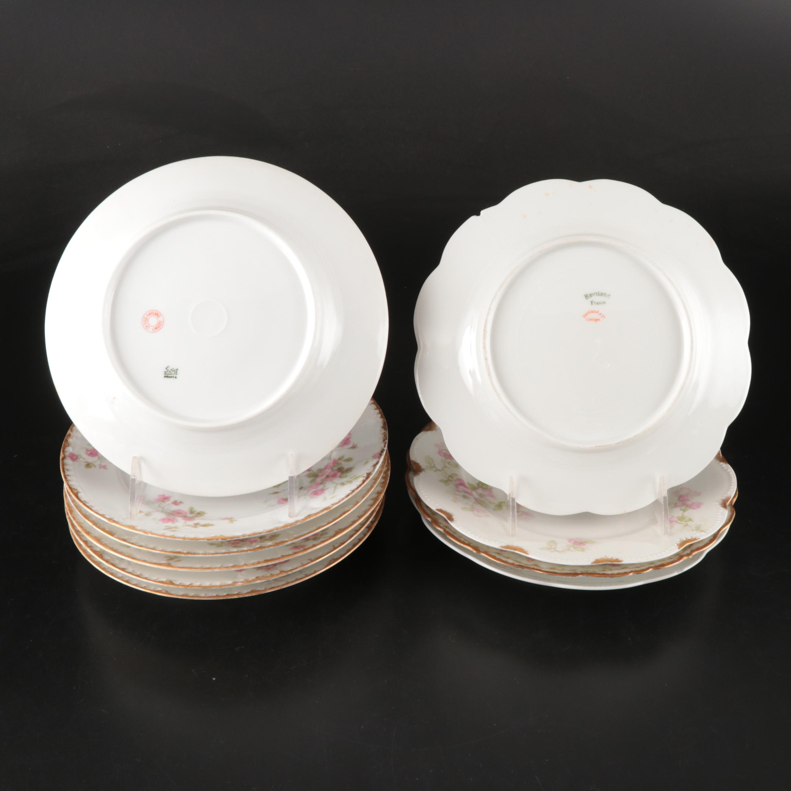 Haviland France and Carter Tielsch Porcelain Floral Dinnerware with Gilt Accents