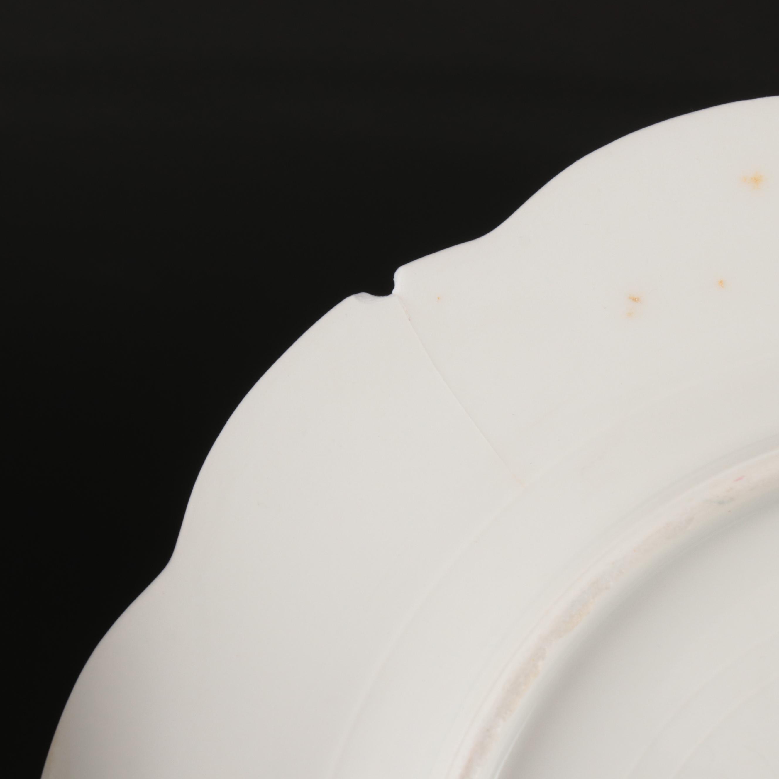 Haviland France and Carter Tielsch Porcelain Floral Dinnerware with Gilt Accents