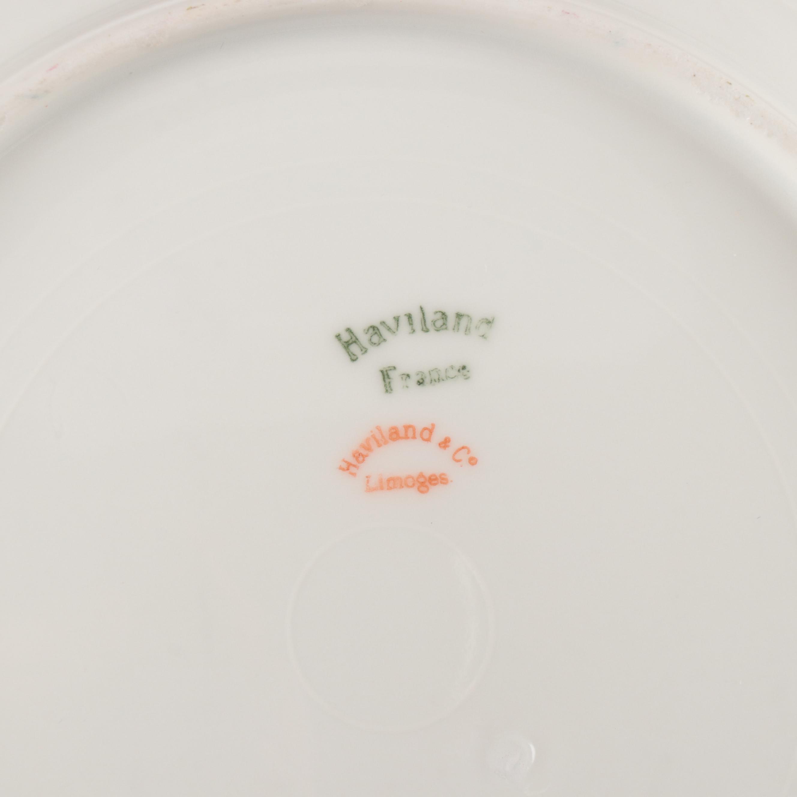 Haviland France and Carter Tielsch Porcelain Floral Dinnerware with Gilt Accents