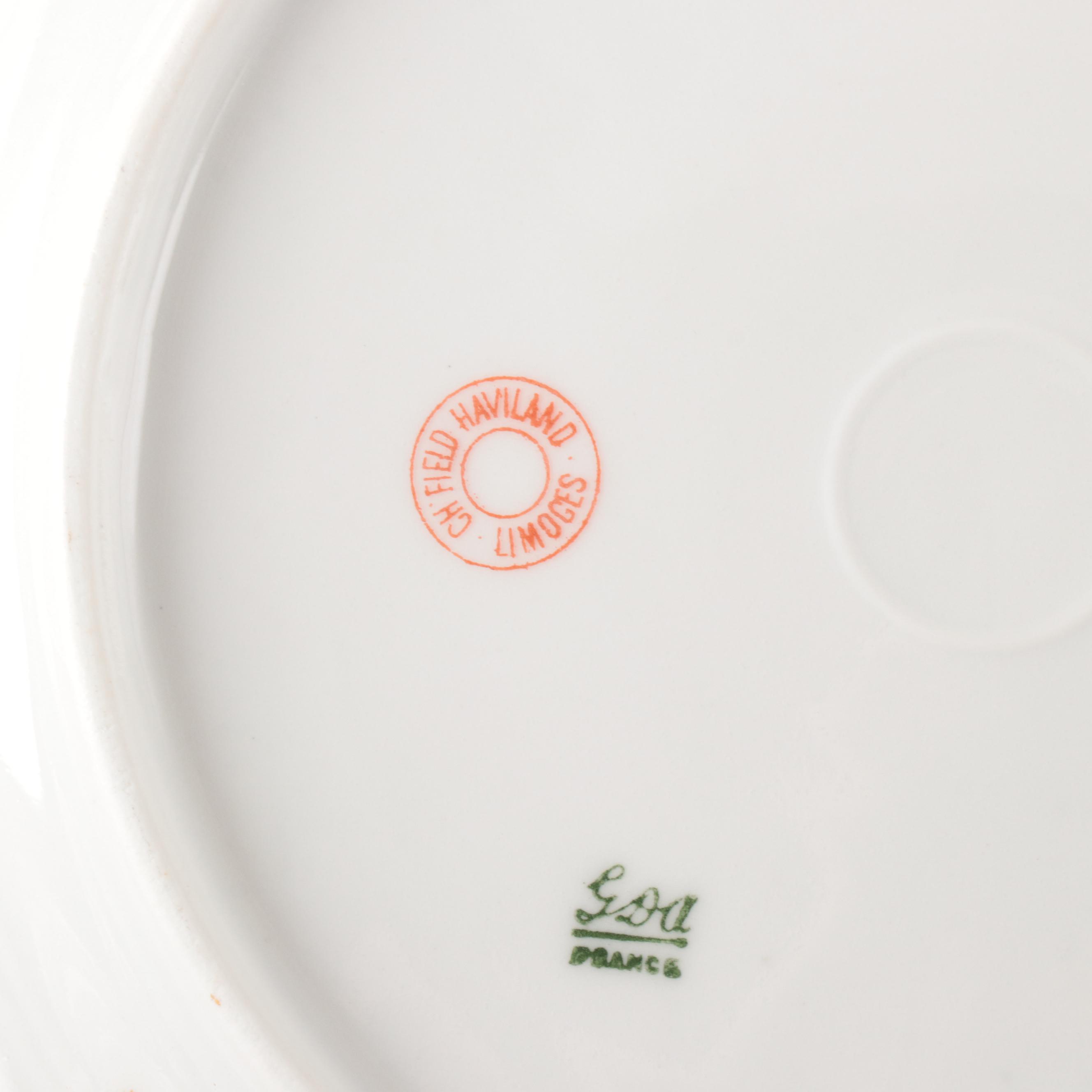 Haviland France and Carter Tielsch Porcelain Floral Dinnerware with Gilt Accents