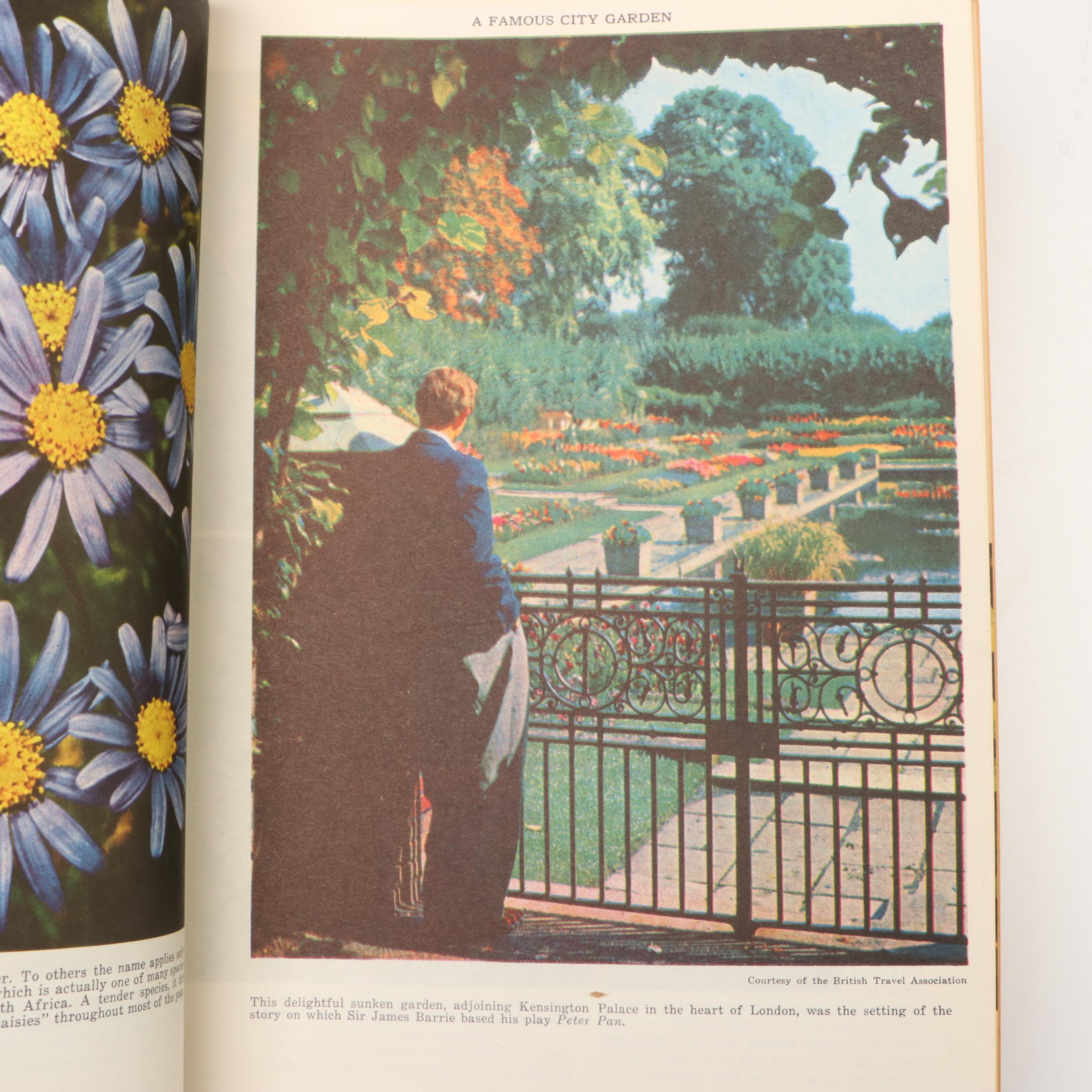"The Illustrated Home Garden Guide" Edited by E. L. D. Seymour, 1961