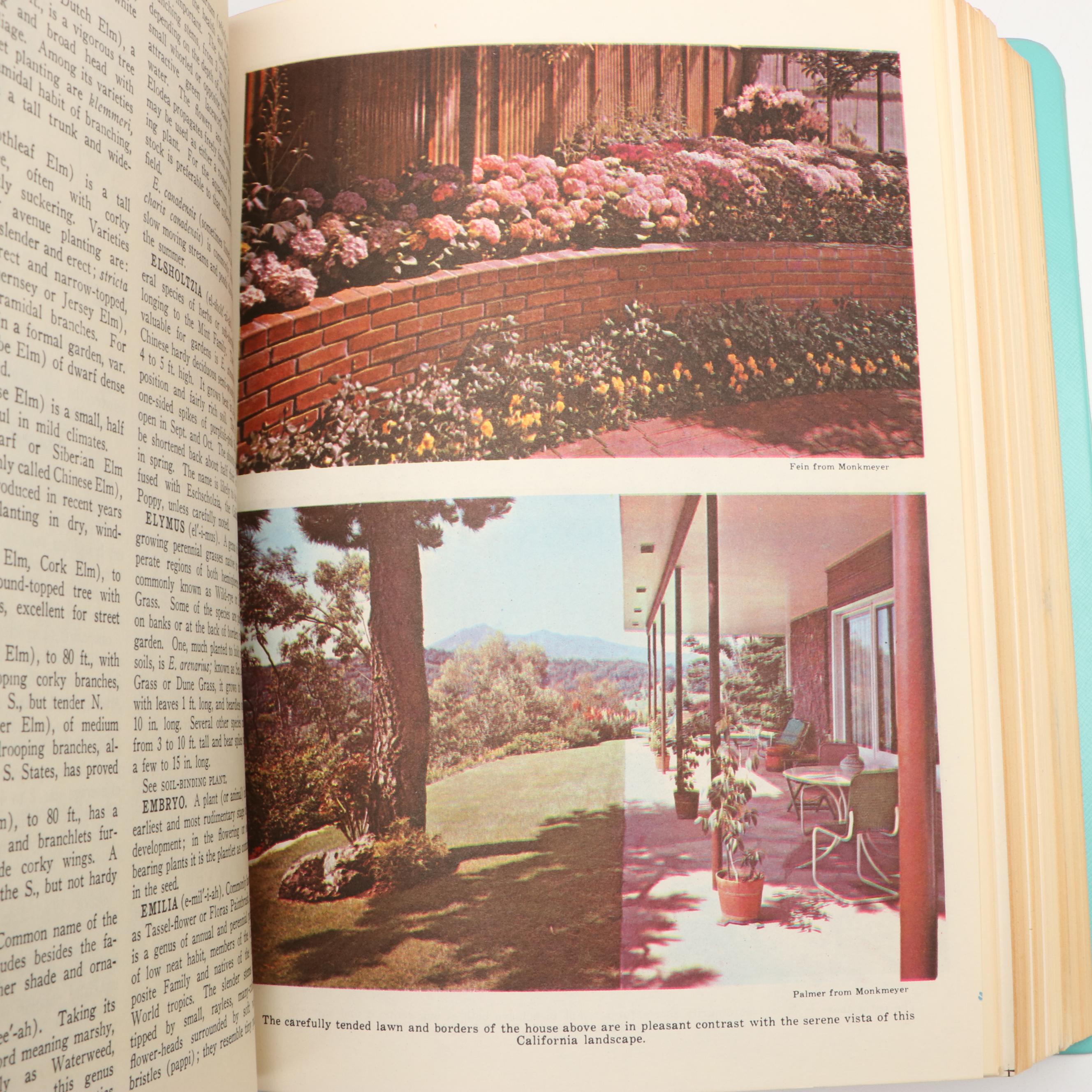 "The Illustrated Home Garden Guide" Edited by E. L. D. Seymour, 1961