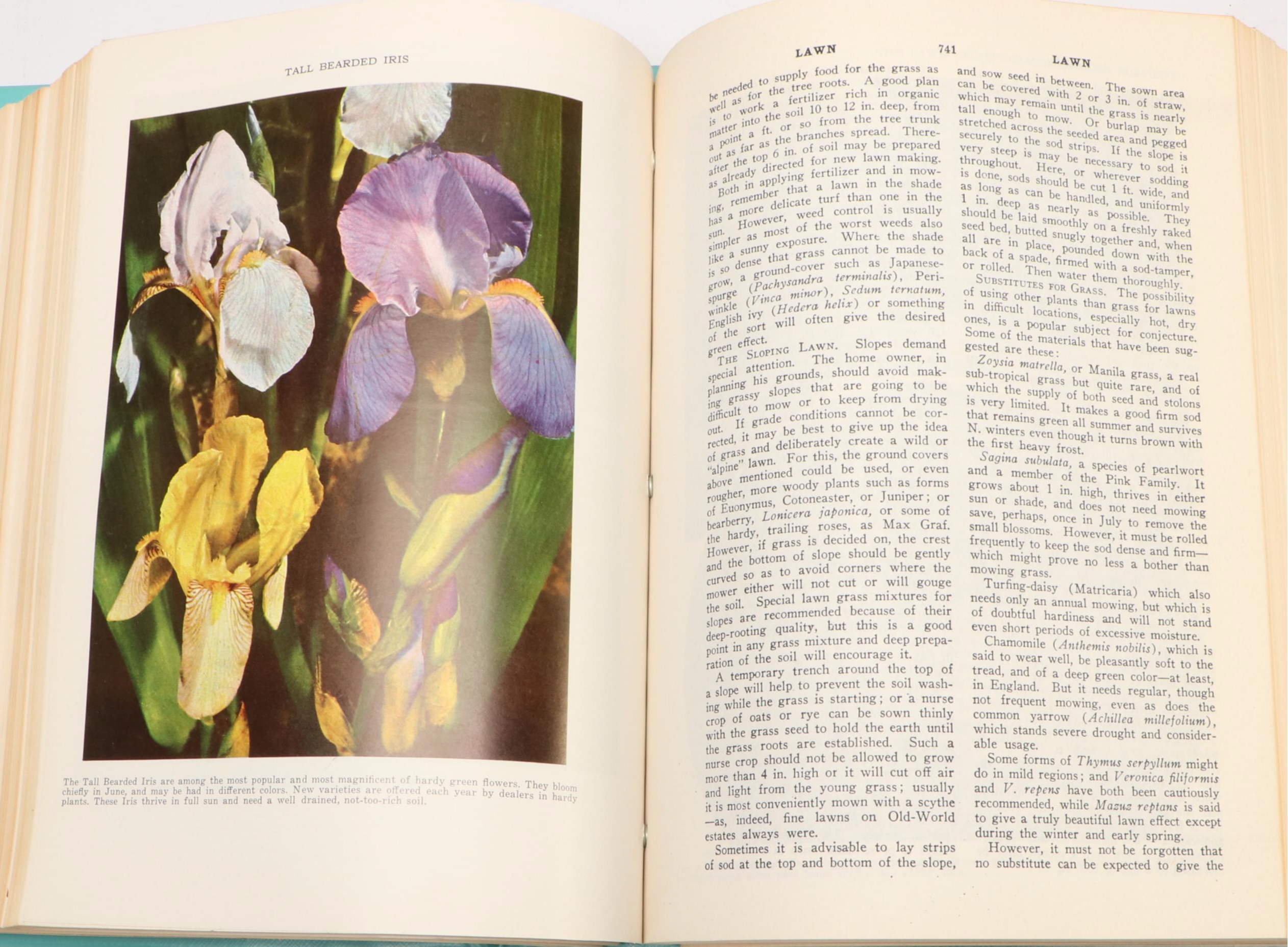 "The Illustrated Home Garden Guide" Edited by E. L. D. Seymour, 1961