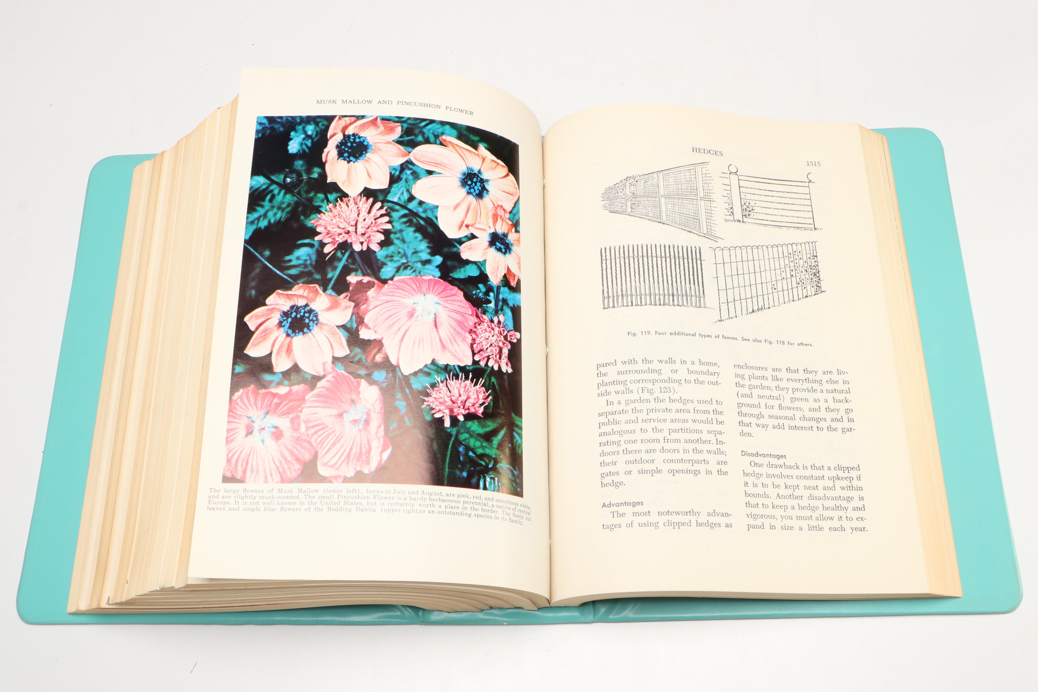 "The Illustrated Home Garden Guide" Edited by E. L. D. Seymour, 1961