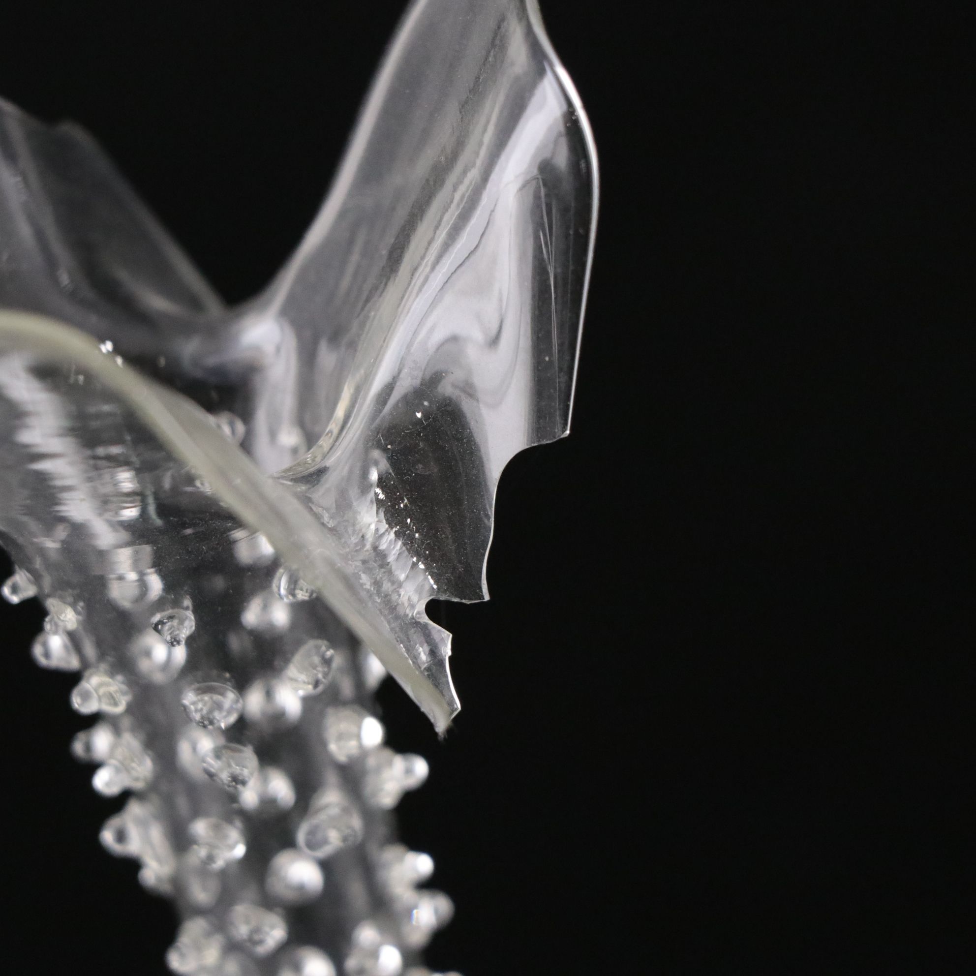 Glass Cluster Propagation Vase with Spiral Stem Crystal Wine Glasses & More