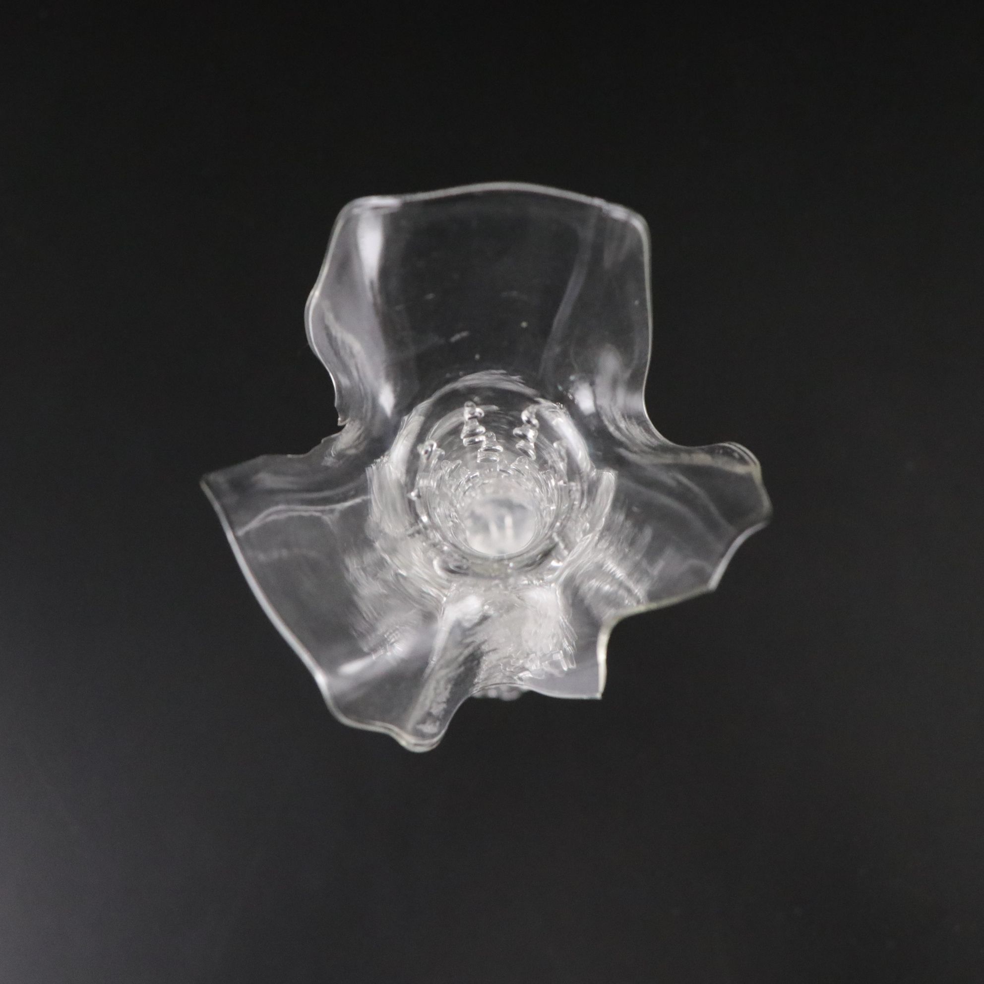 Glass Cluster Propagation Vase with Spiral Stem Crystal Wine Glasses & More