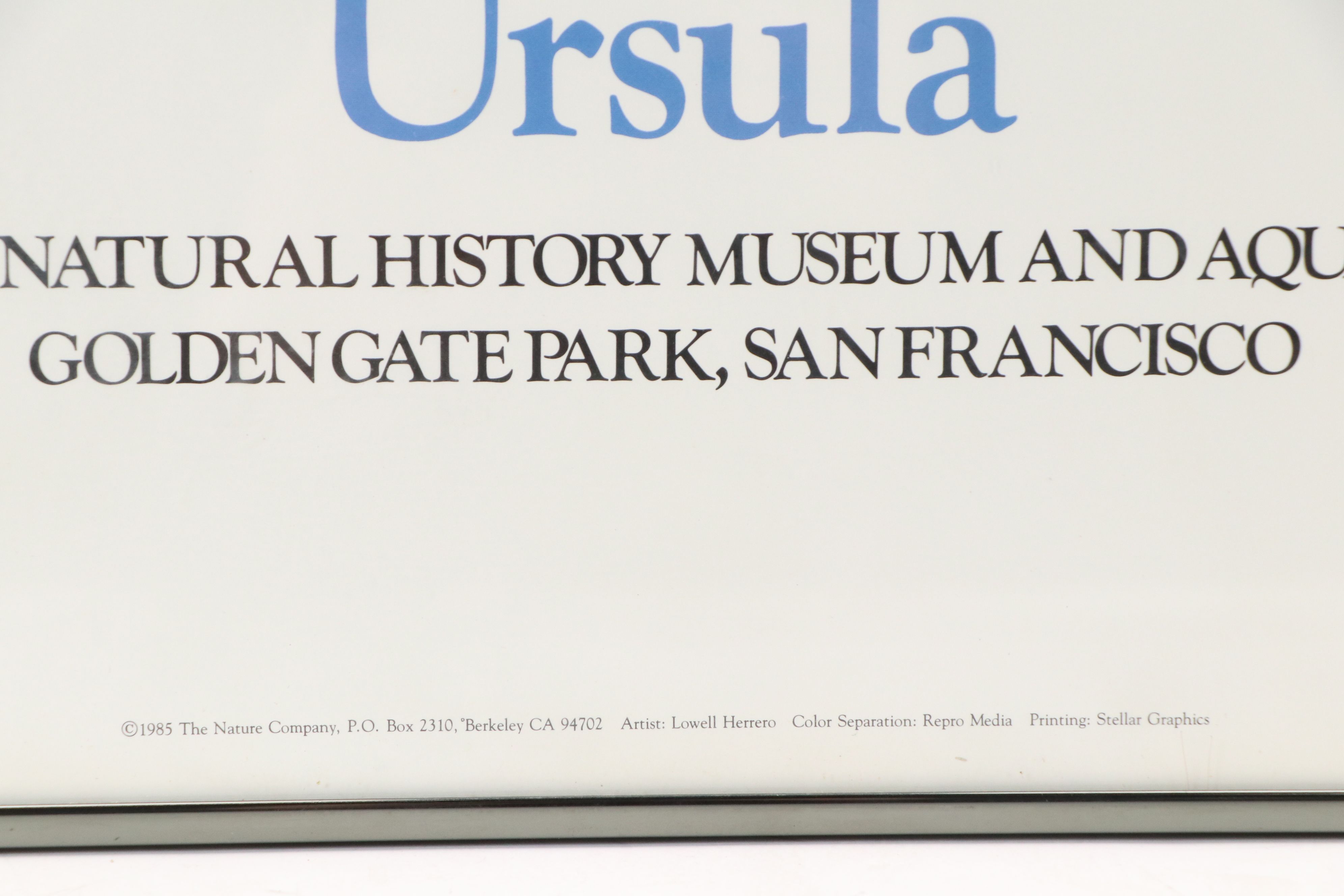 Offset Lithograph Poster After Lowell Herrero "Ursula," 1985