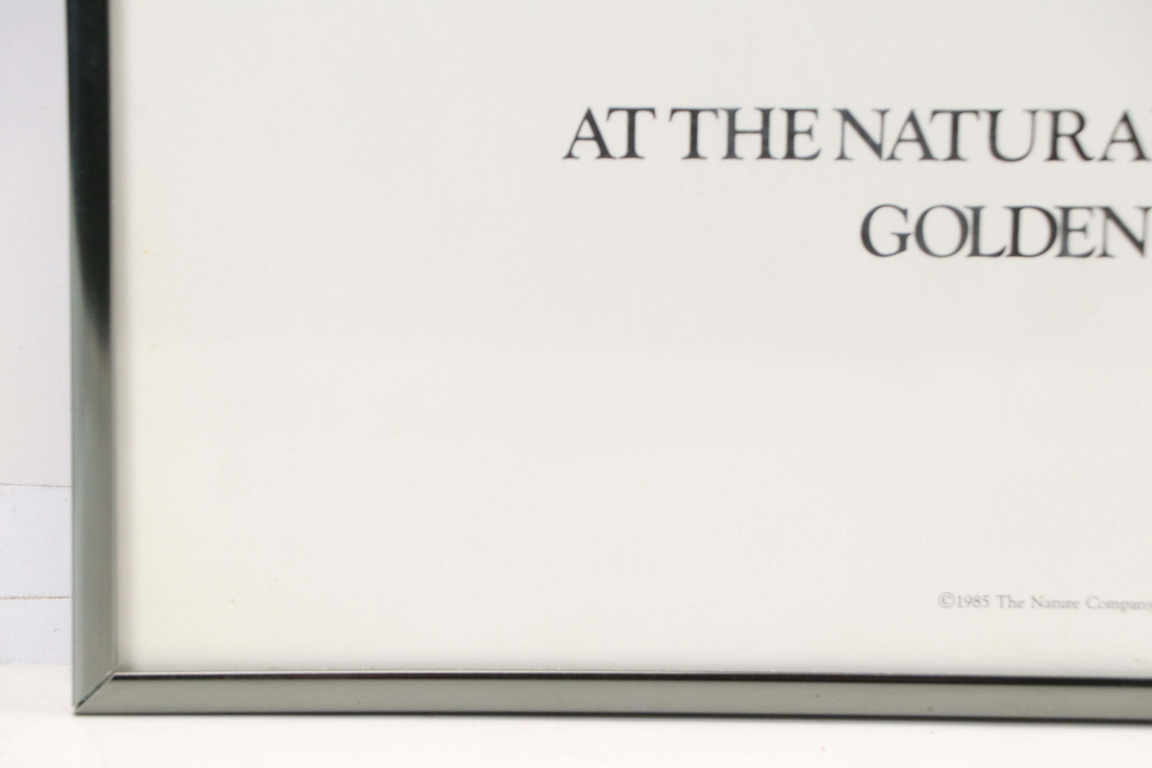 Offset Lithograph Poster After Lowell Herrero "Ursula," 1985