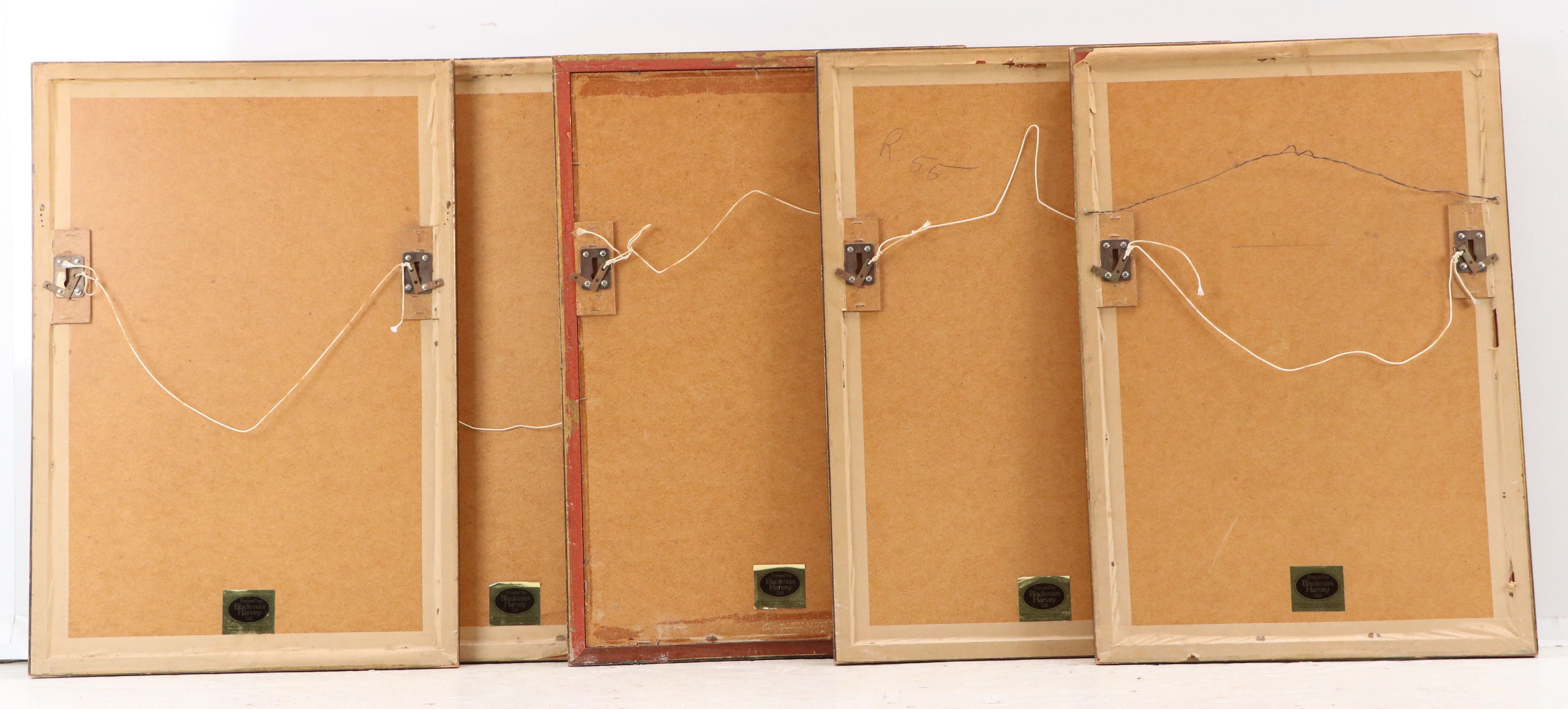 Color Engravings After Jacques Barraband Including "Le Grand Paradis Emeraude"