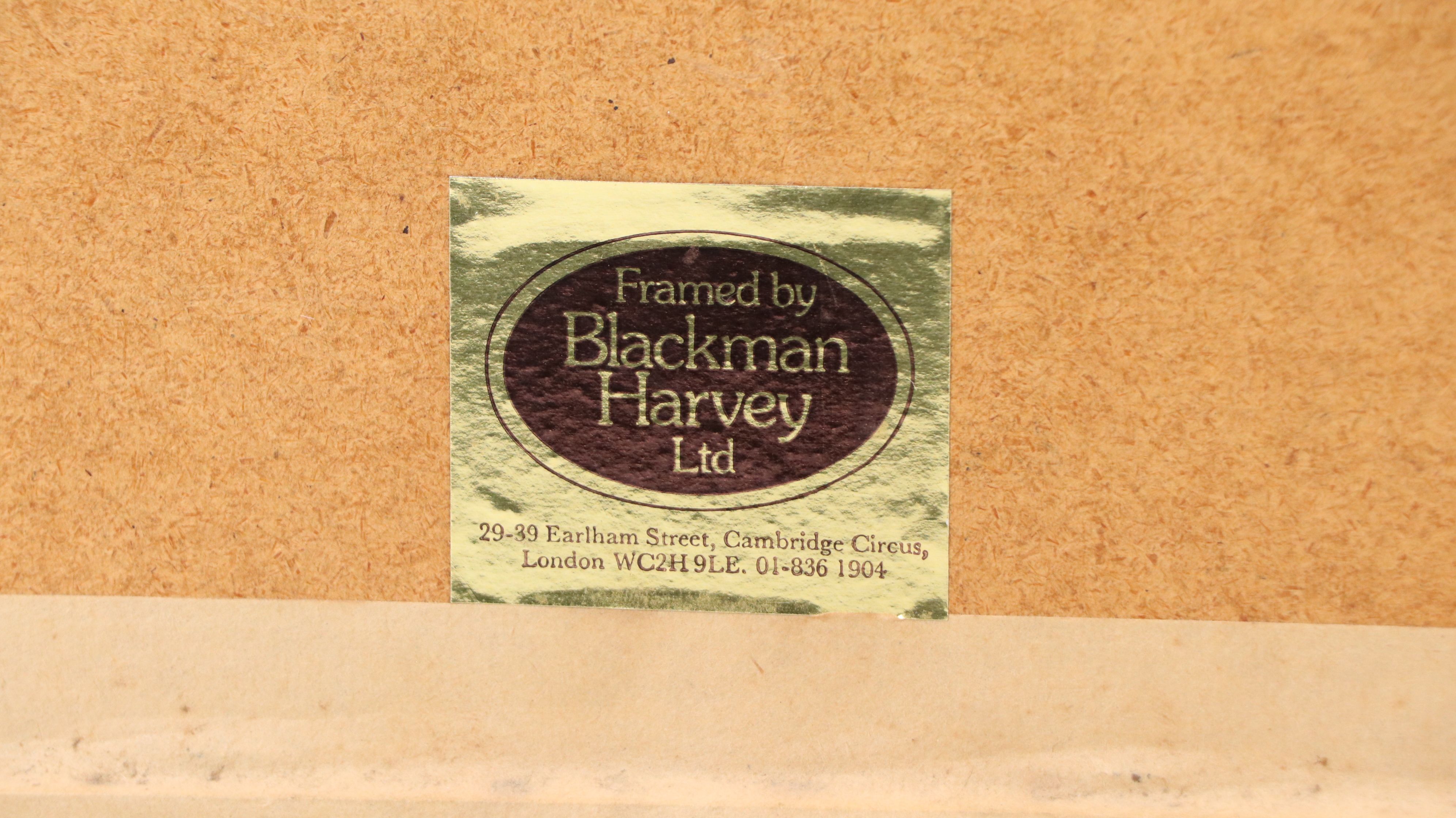 Color Engravings After Jacques Barraband Including "Le Grand Paradis Emeraude"