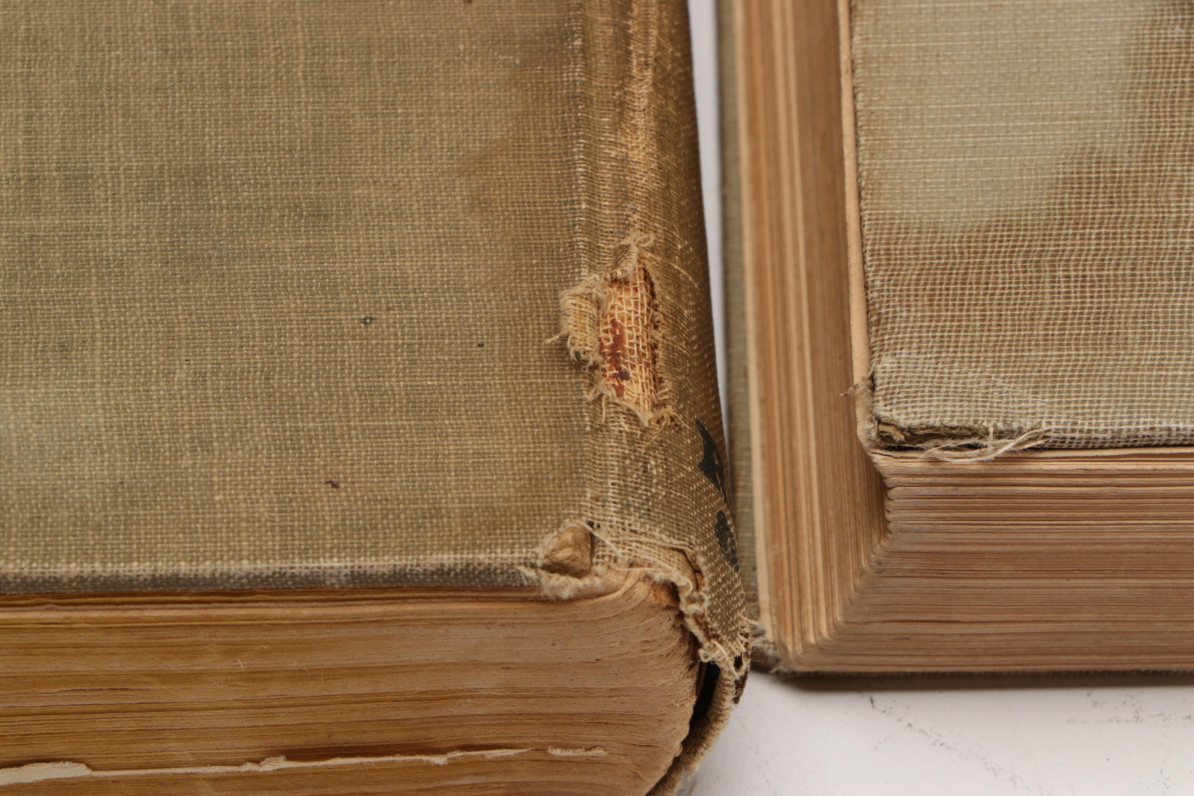 "Glinda of Oz" by L. Frank Baum with "Doctor Dolittle's Zoo" by Hugh Lofting