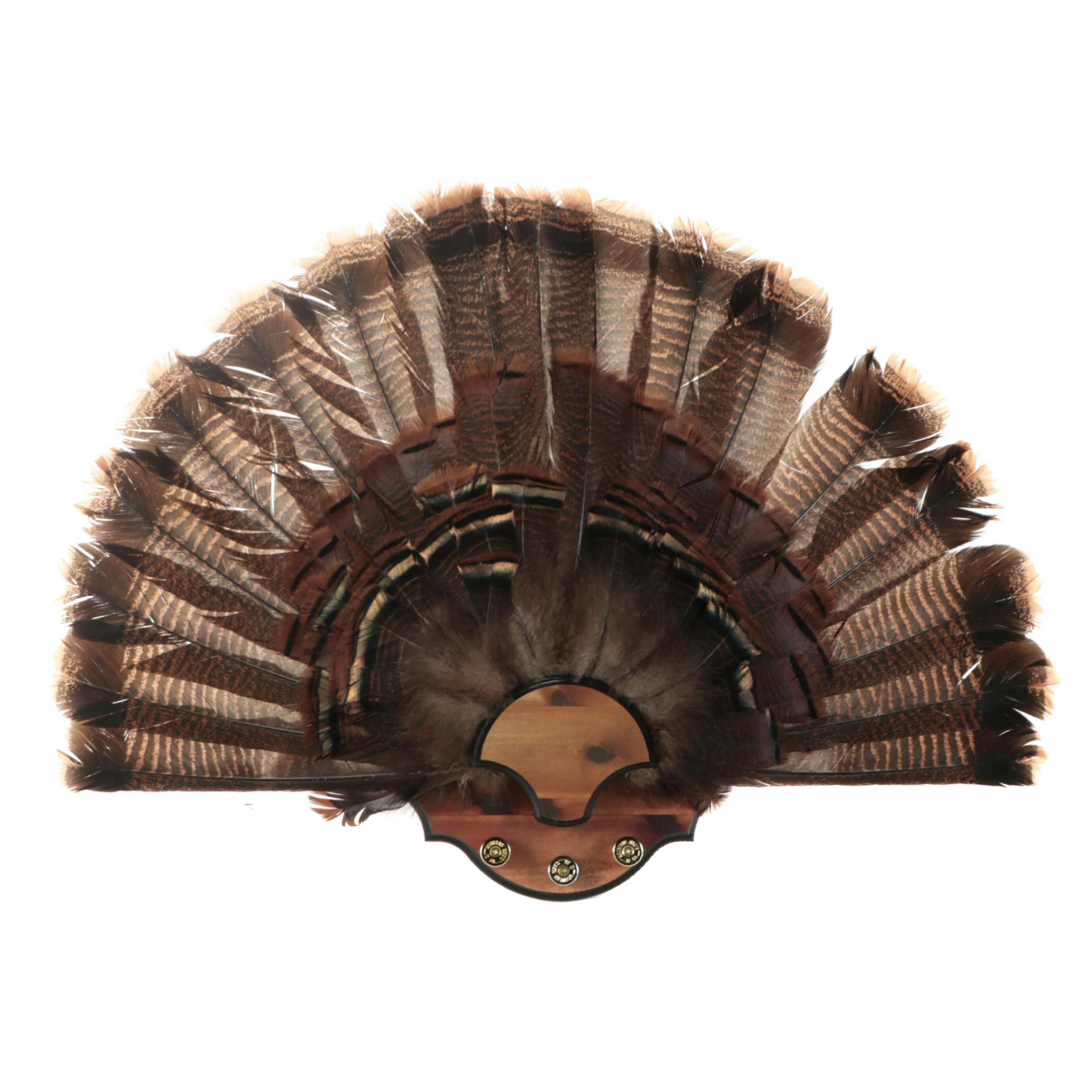 Wild Turkey Tail Fan on Faux Wood Mount