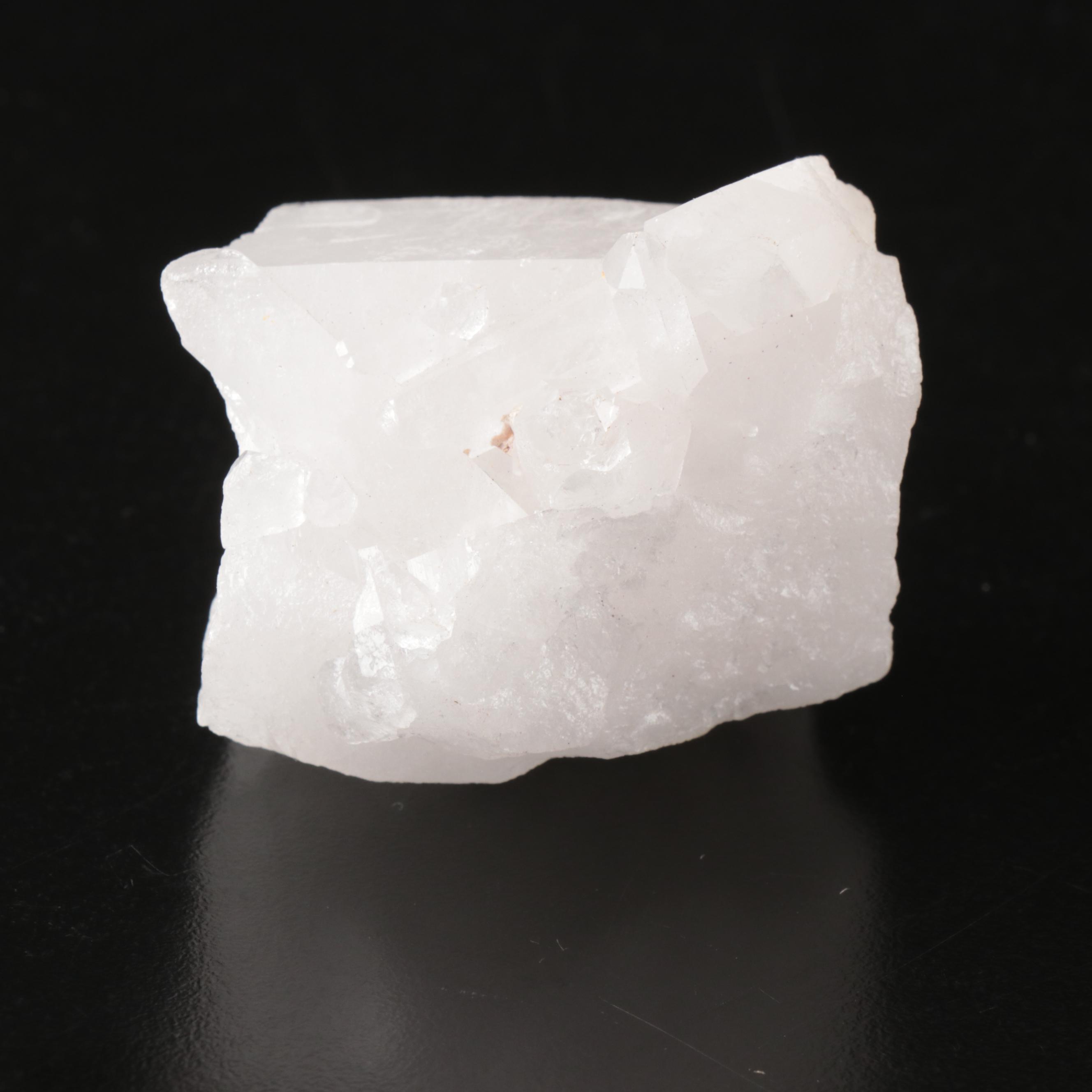 Queen Conch, Fossil Bone, Murex, Channel Whelk and Calcite