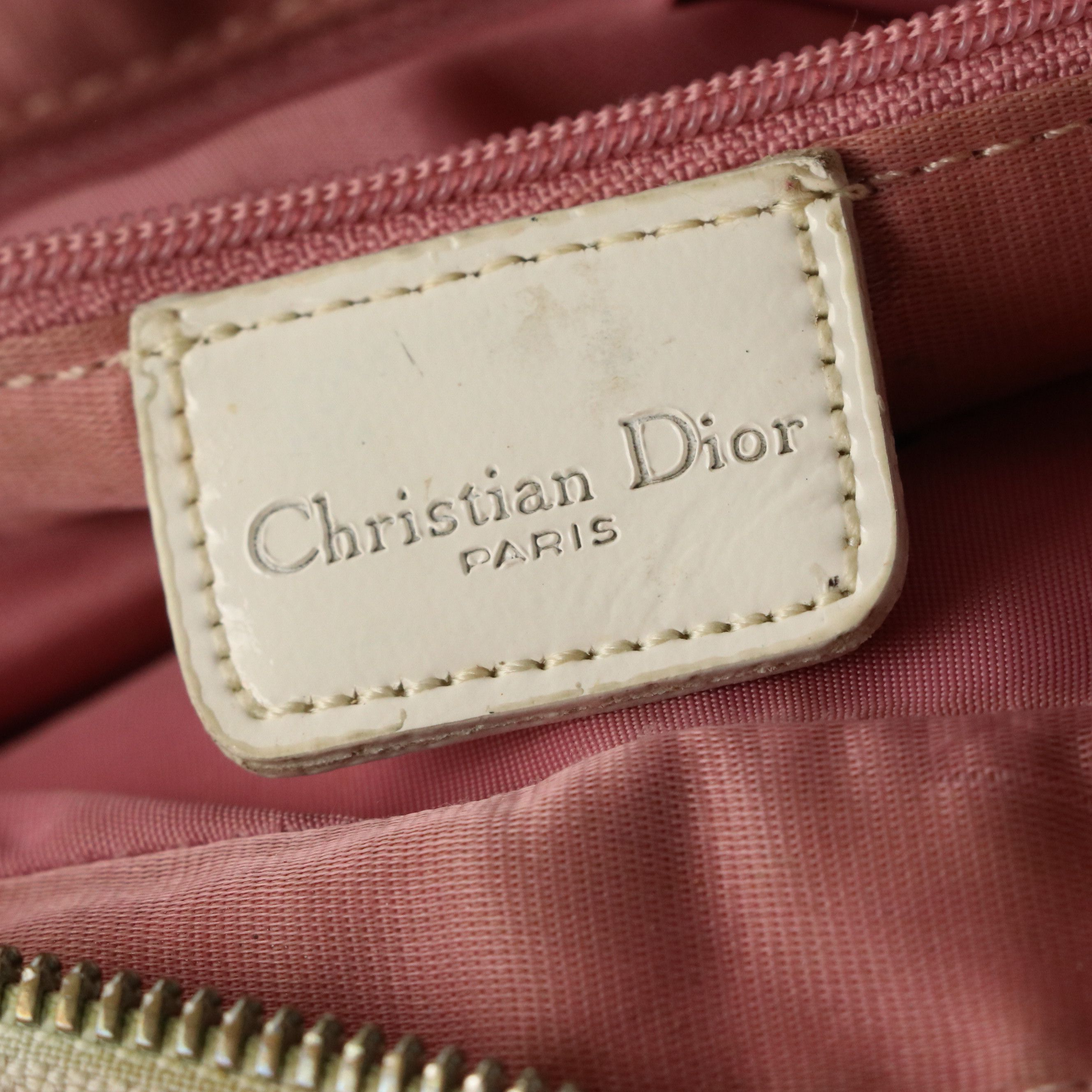 Dior No. 1 Crossbody Bag in Pink Trotter Canvas and Patent Leather