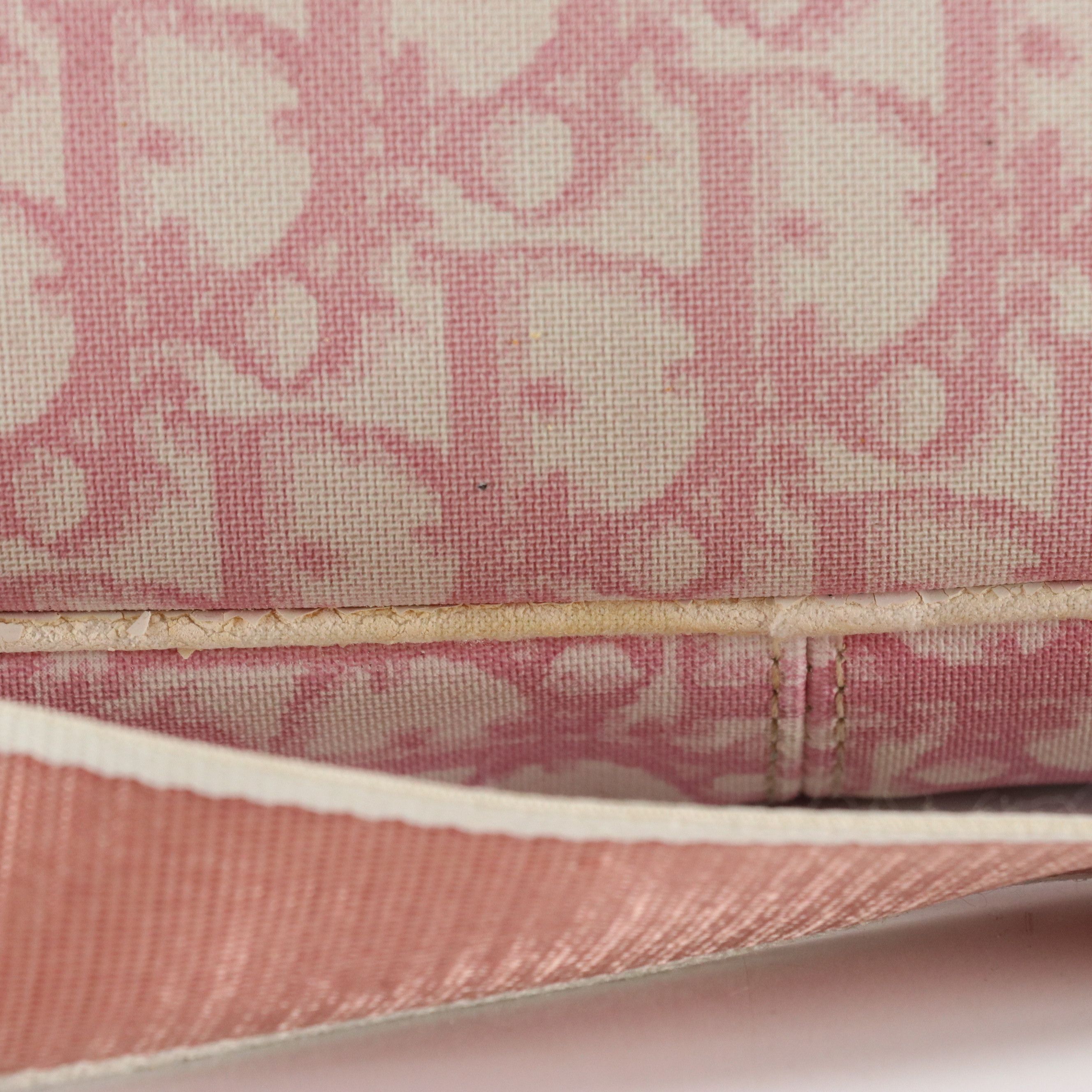 Dior No. 1 Crossbody Bag in Pink Trotter Canvas and Patent Leather