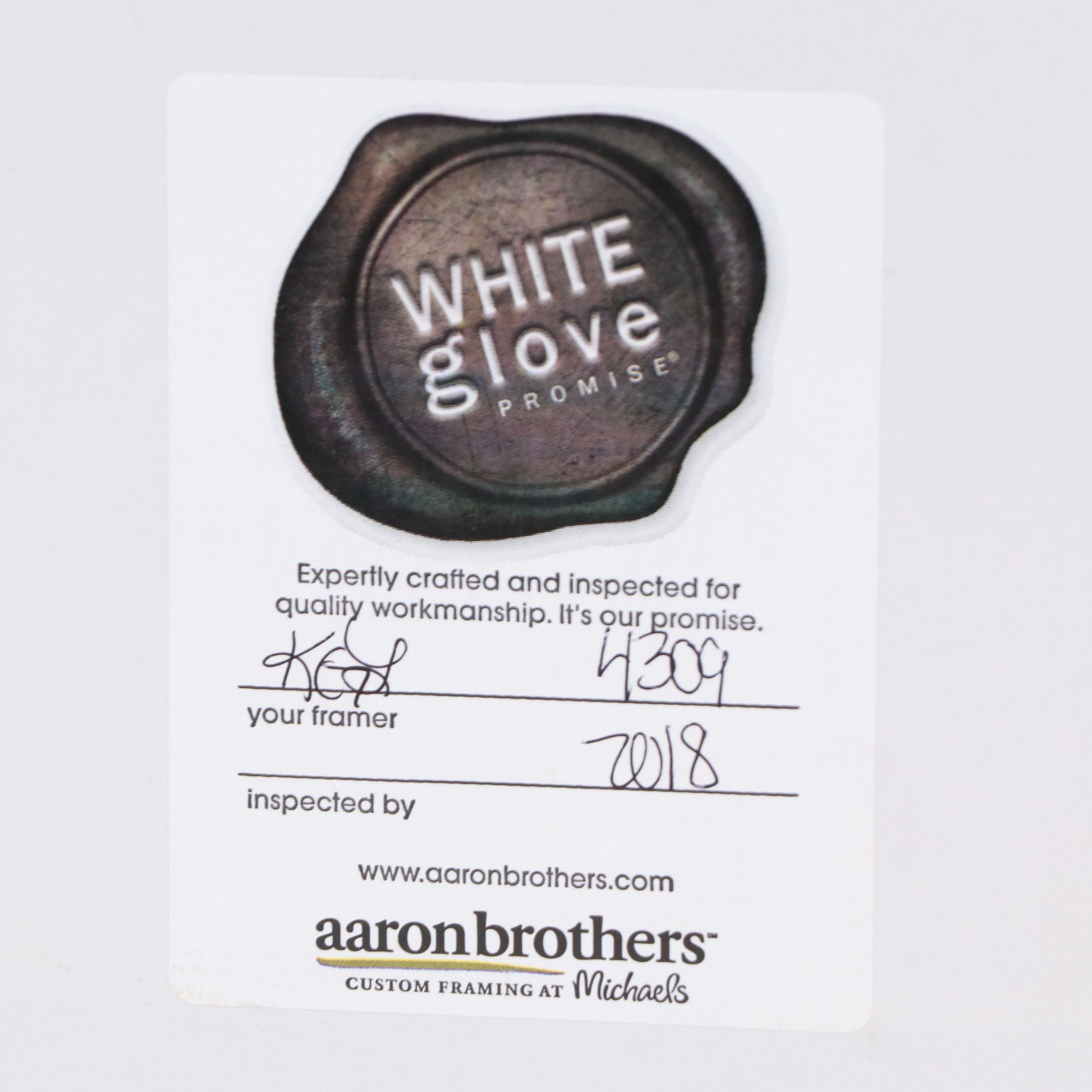 Acrylic Painting of Plague Doctor and Raven, 2018