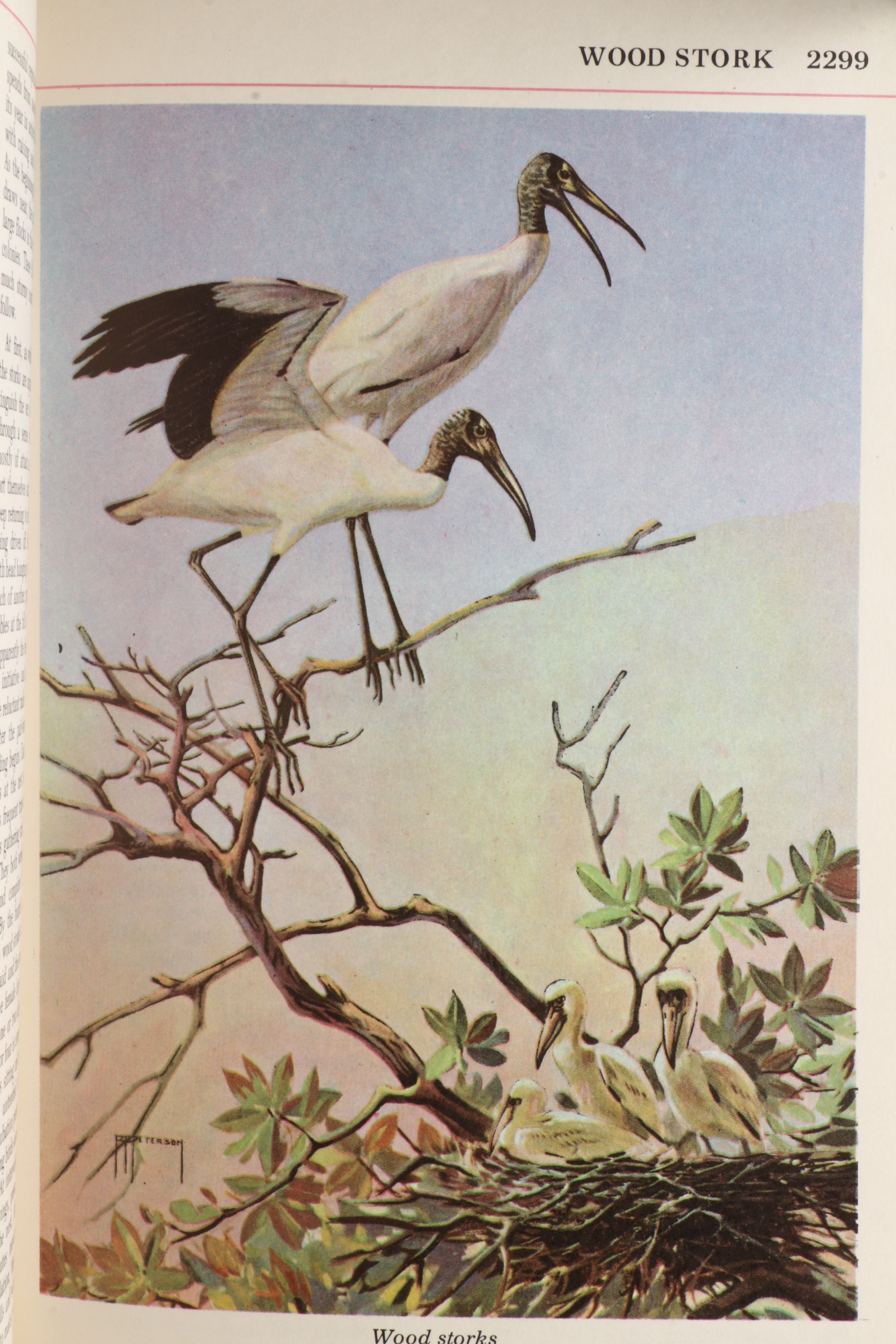 First Printing "The Audubon Nature Encyclopedia" Complete Twelve-Volume Set