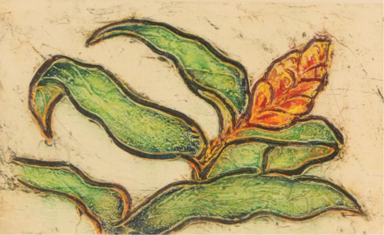 Stylized Etching of Red Ginger Frond, 1986