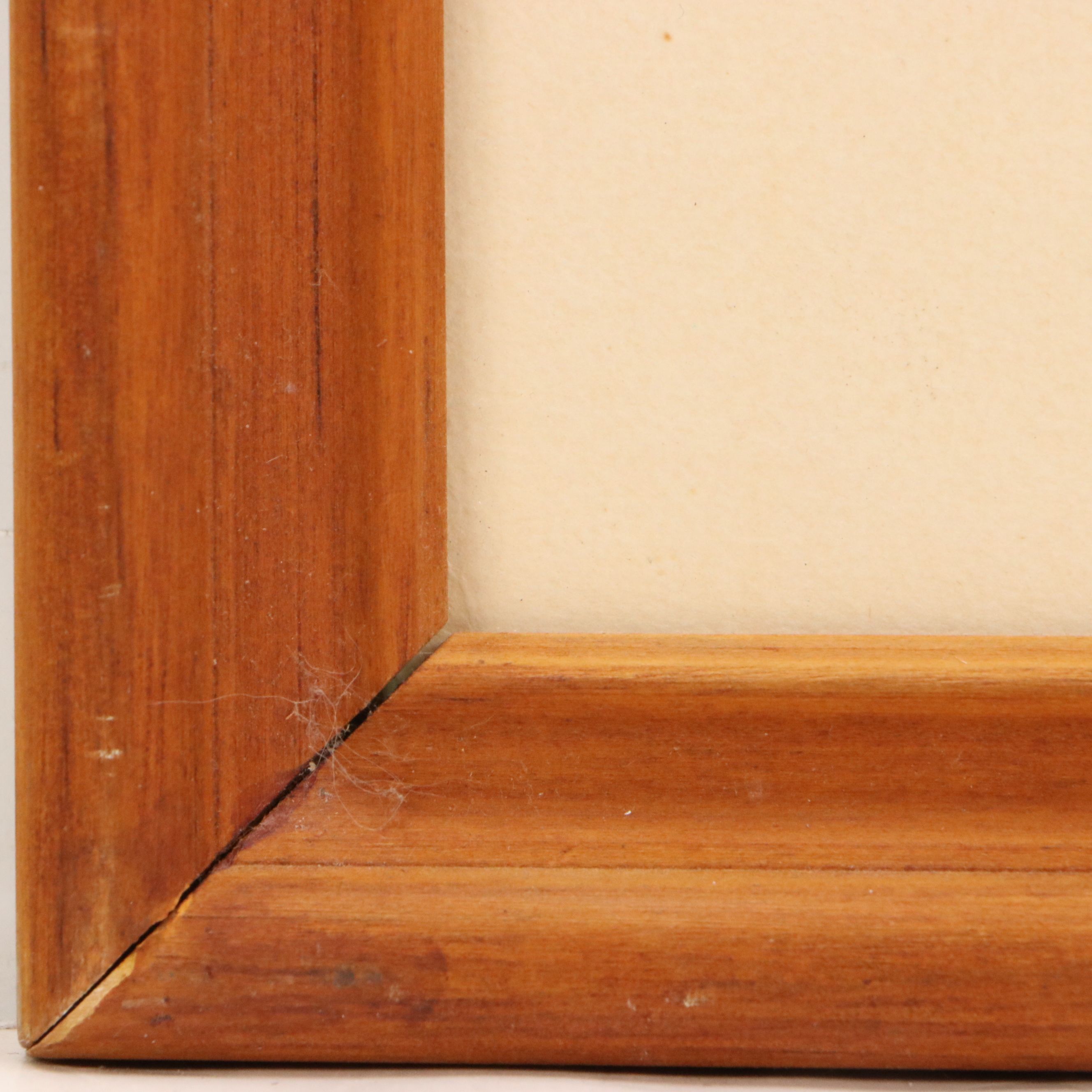 Stylized Etching of Red Ginger Frond, 1986