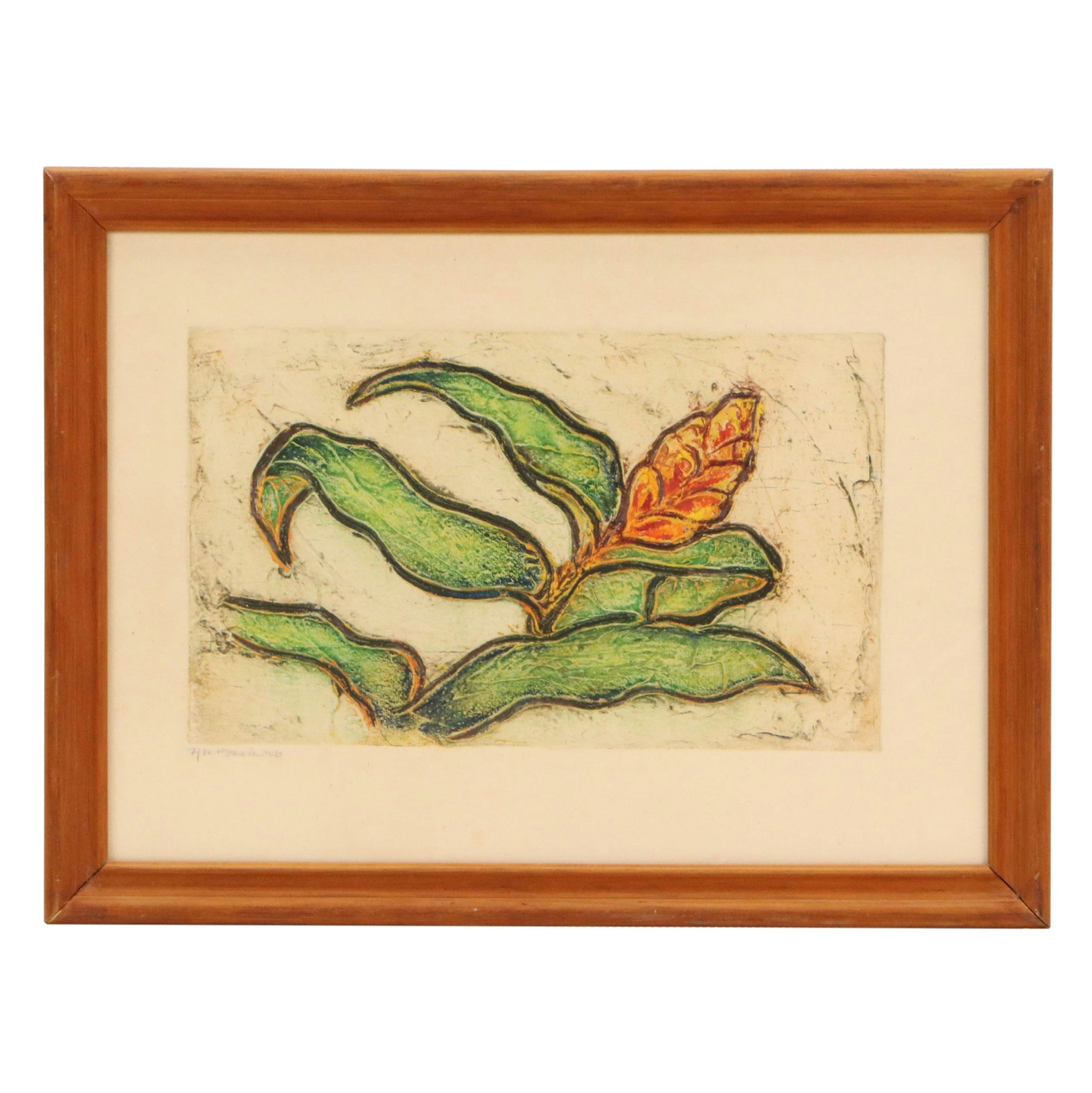 Stylized Etching of Red Ginger Frond, 1986