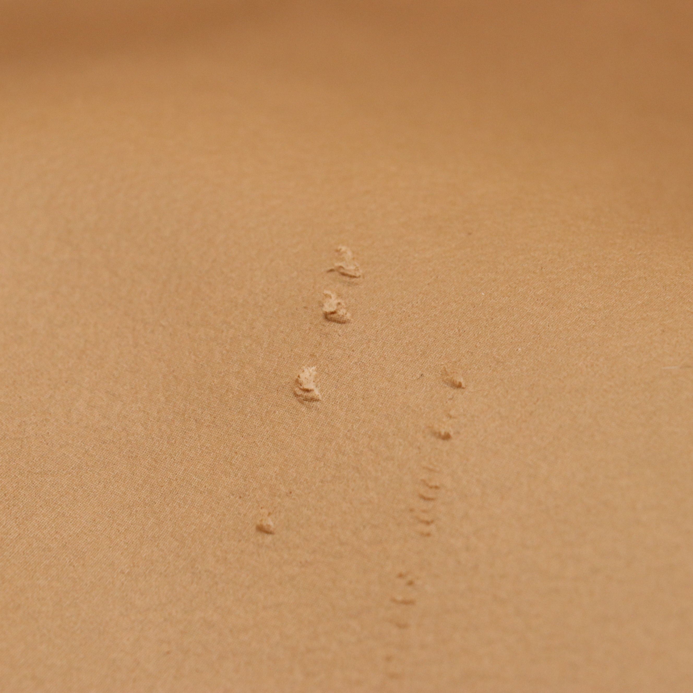 Gucci Web Stripe 60cm Soft Suitcase in GG Supreme Canvas and Leather