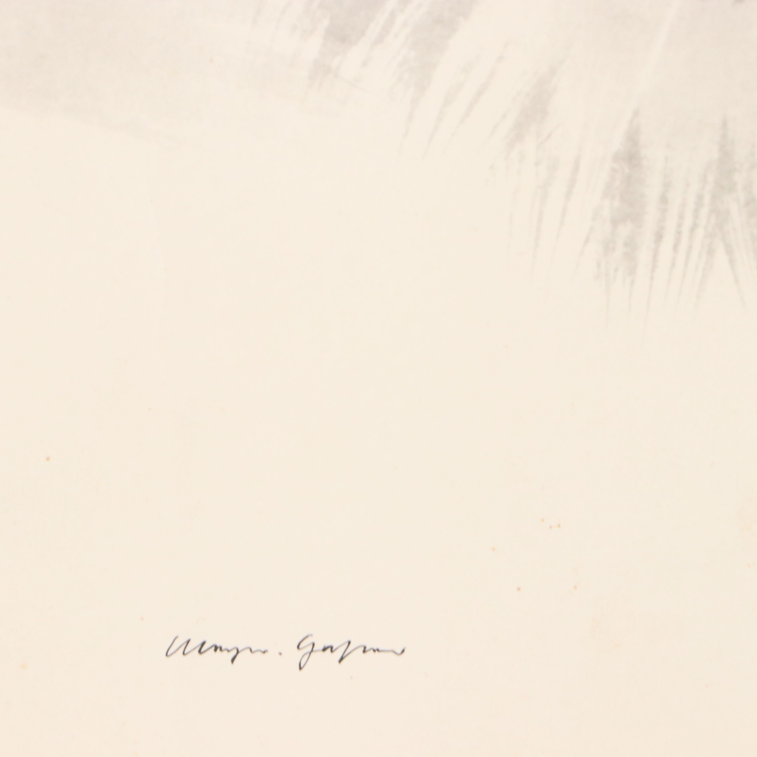 Offset Lithograph of Owl After Klaus Meyer-Gasters, Late 20th Century