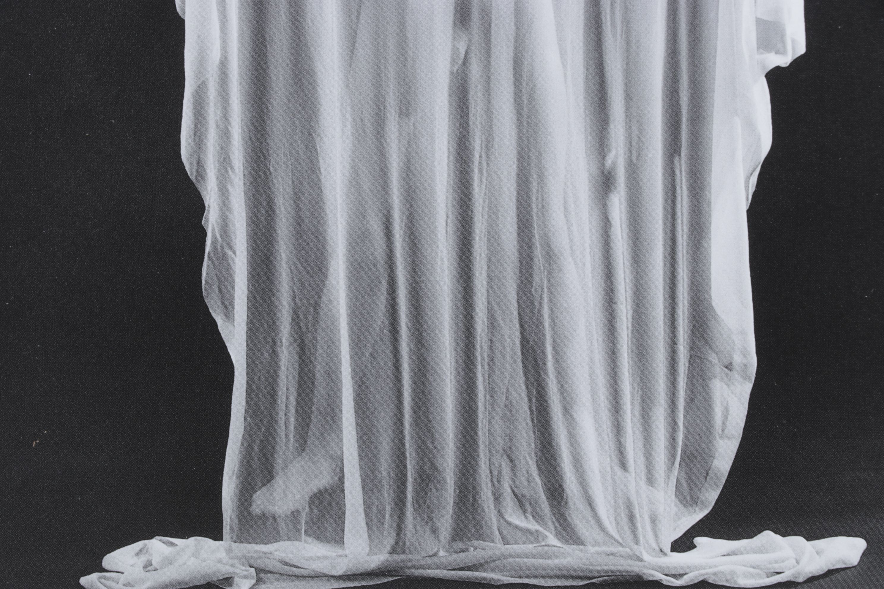 Offset Lithograph Photo After Dimitris Yeros "The Dream of Anakreon"