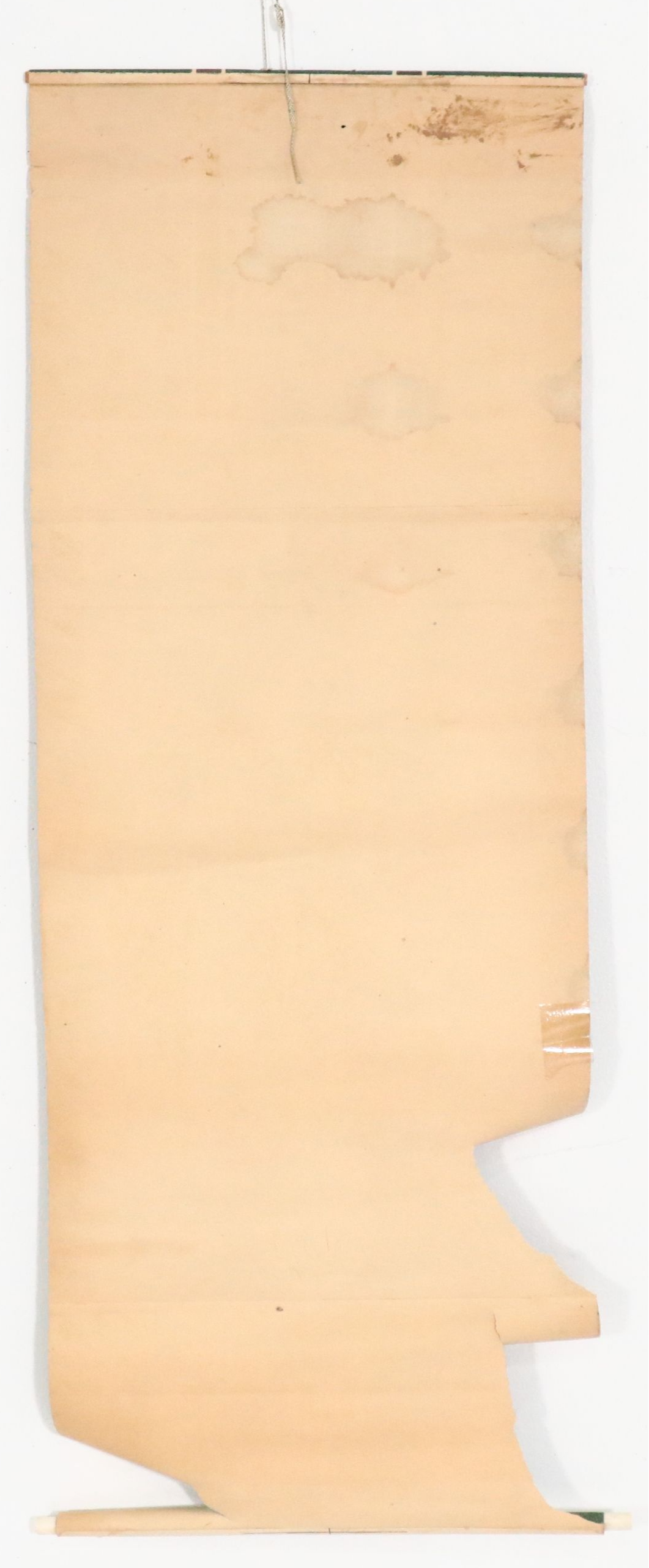 Chinese School Color Lithograph of Tiger on Scroll, Late 20th Century