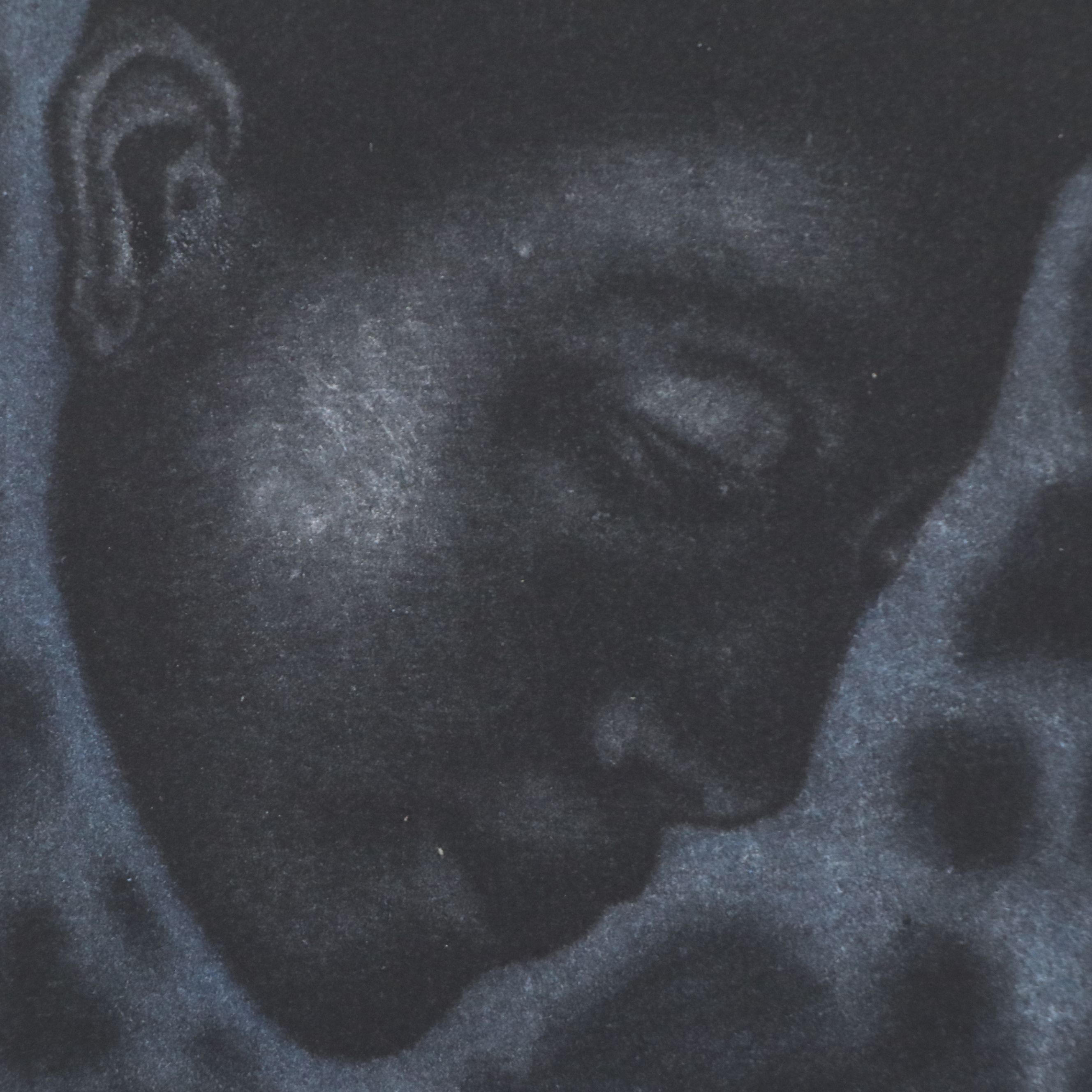 Attributed to Corina Sanchez Mezzotint "Imogen Inciesta," 1998