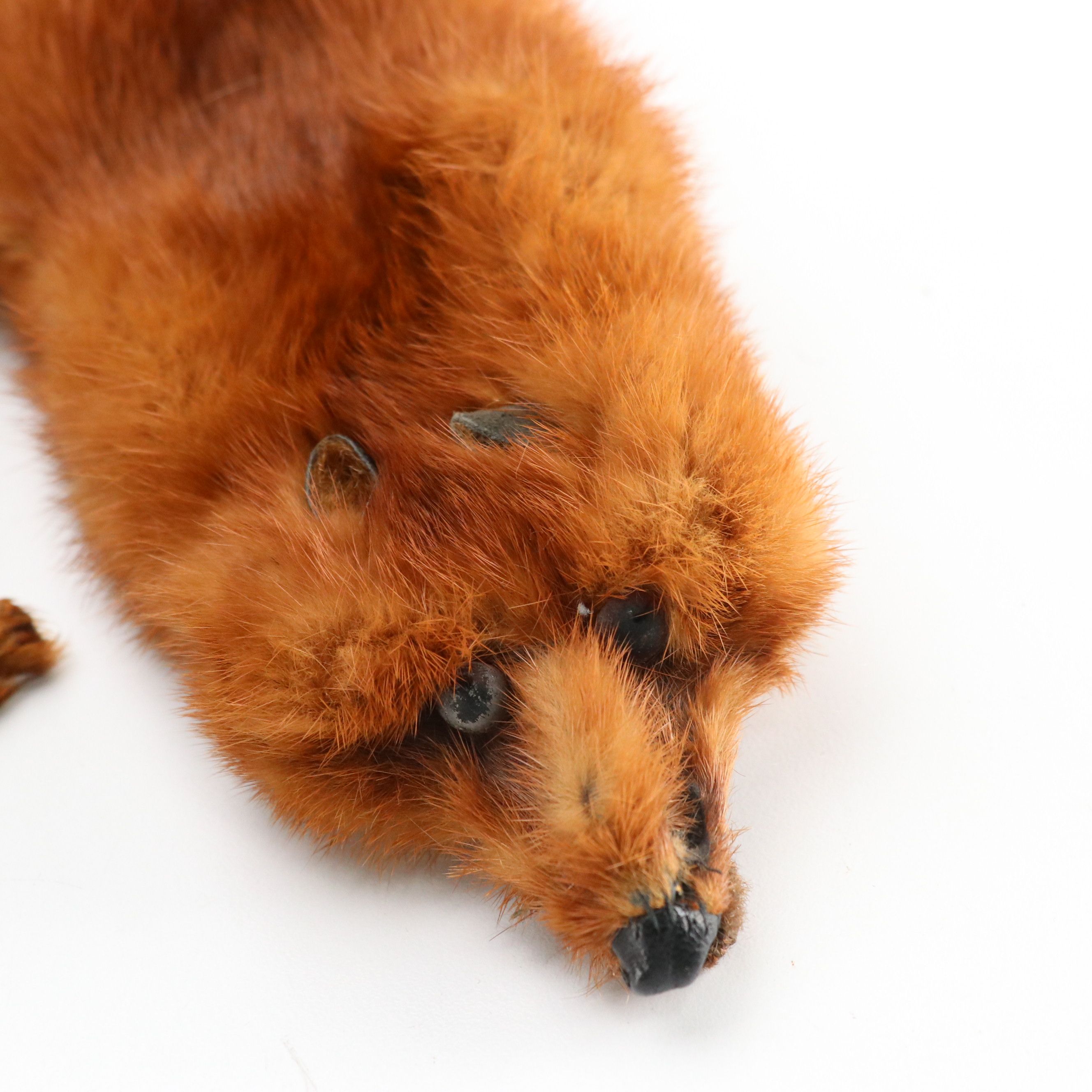 Pogue's Cincinnati & Royal Pastel Vintage Mink Collars, Full Pieced Mink Stole