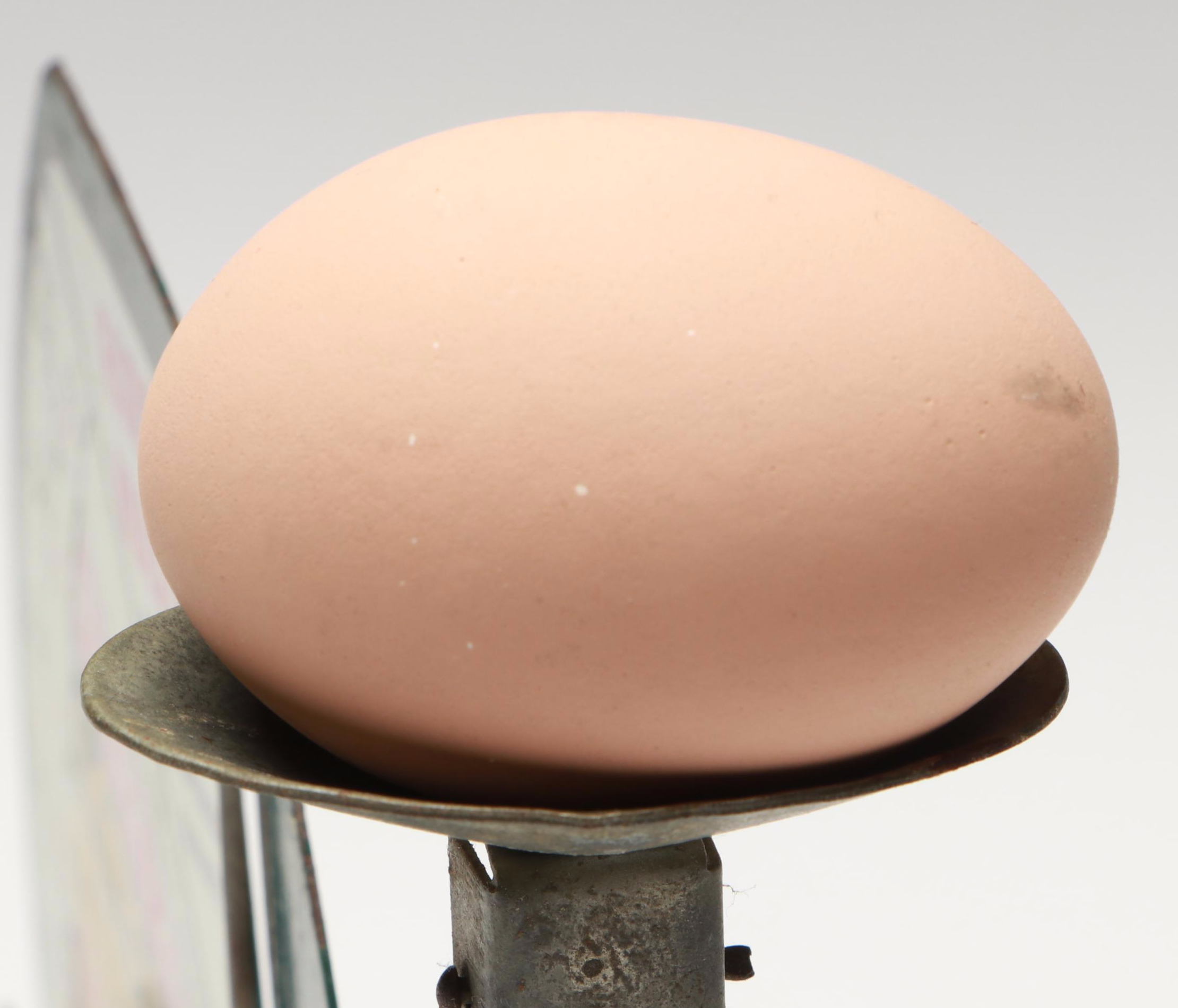 Farm Master Egg Scale with Faux Egg, Early to Mid-20th Century