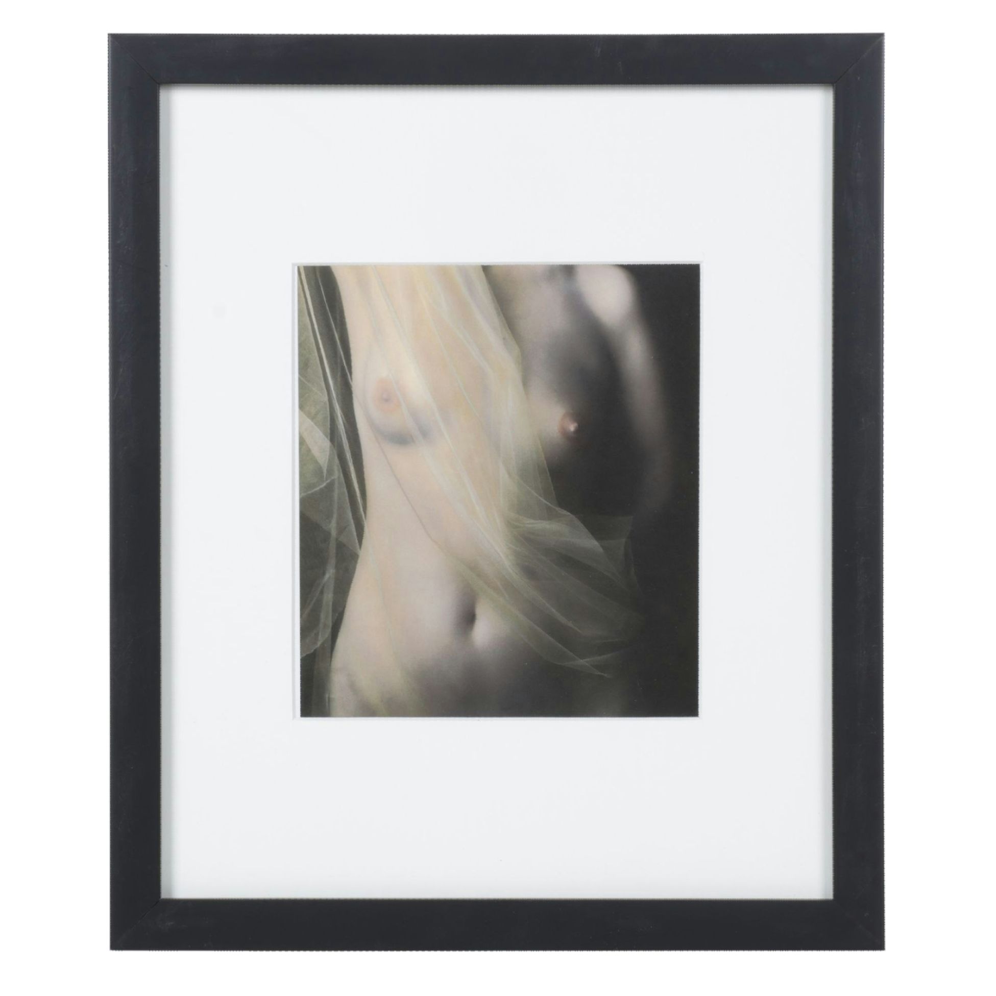 Brigitte Hoy Carnochan Offset Lithograph Photo "Nude with Netting"