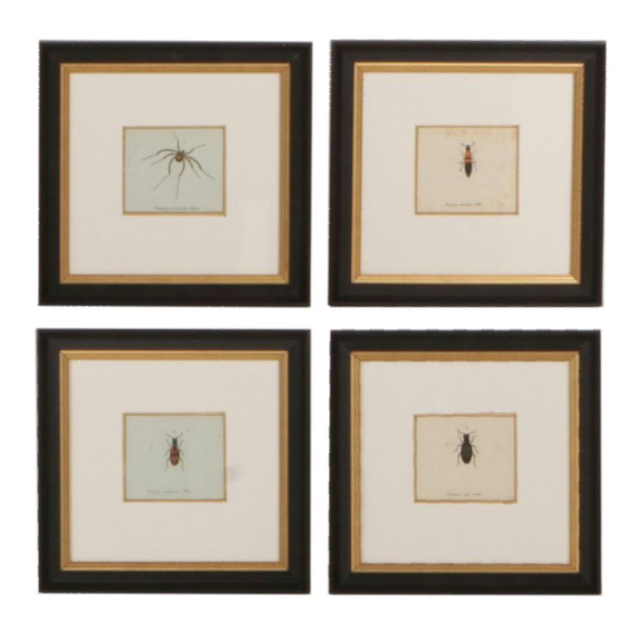 Antique German Hand-Colored Entomological Engravings, Circa 1793