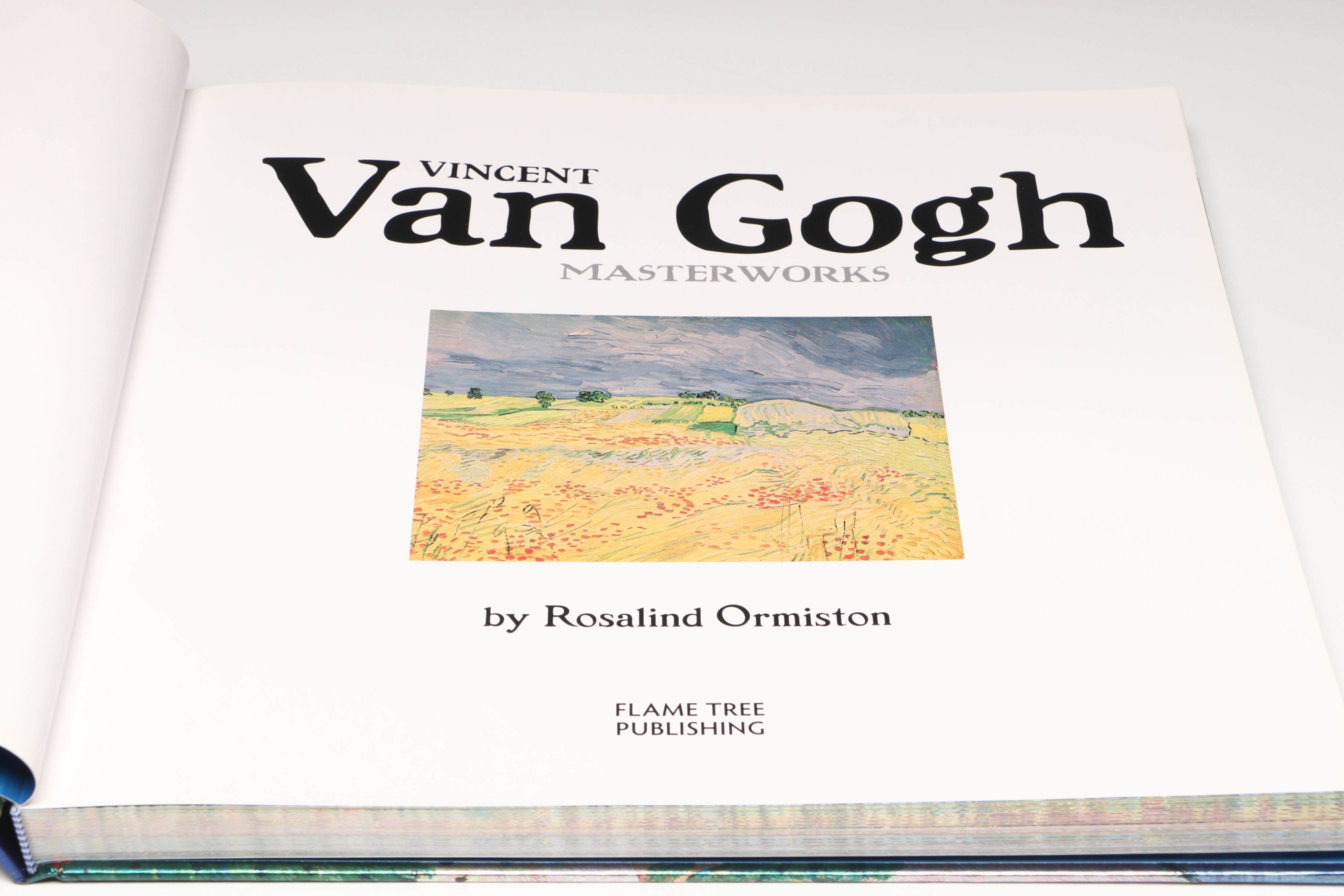 "Vincent Van Gogh Masterworks" and More Modern Art History Books